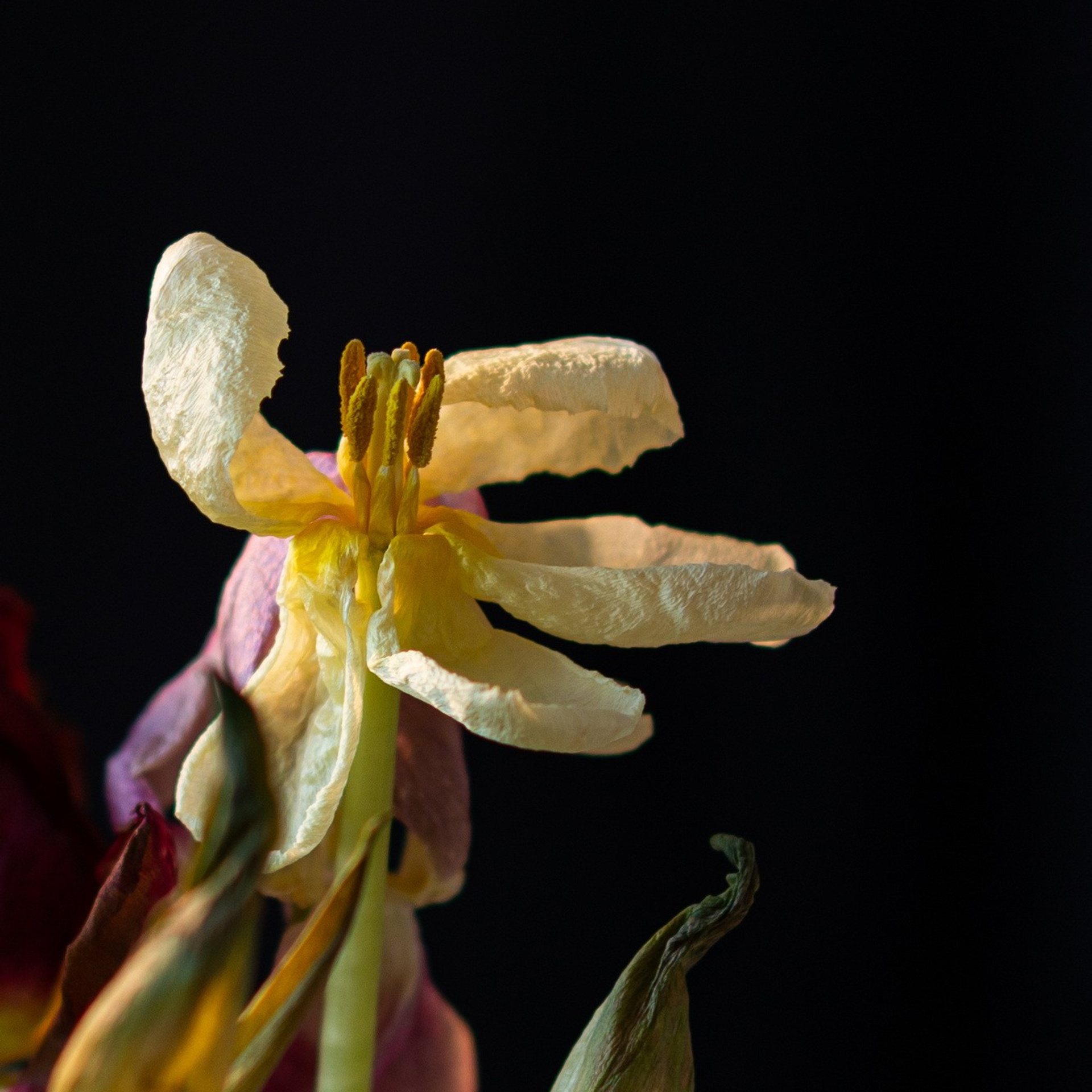 Природа. Семейный, детский и женский фотограф в Братске