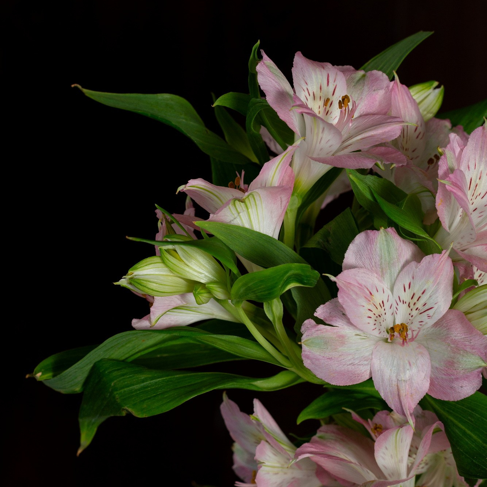 Природа. Семейный, детский и женский фотограф в Братске