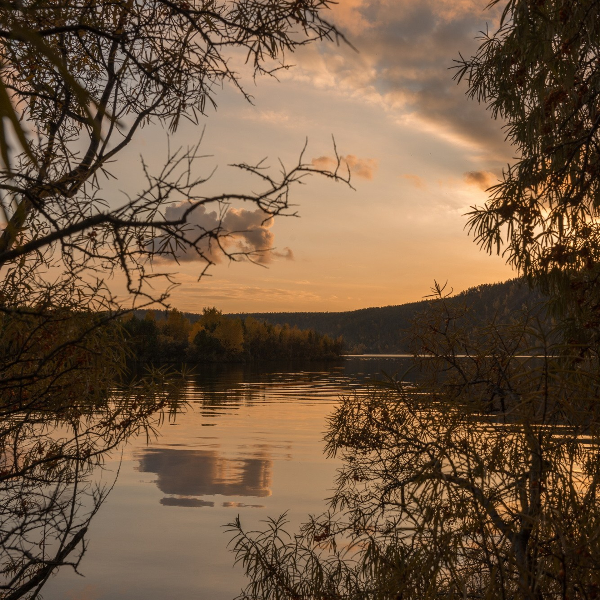 Природа. Семейный, детский и женский фотограф в Братске