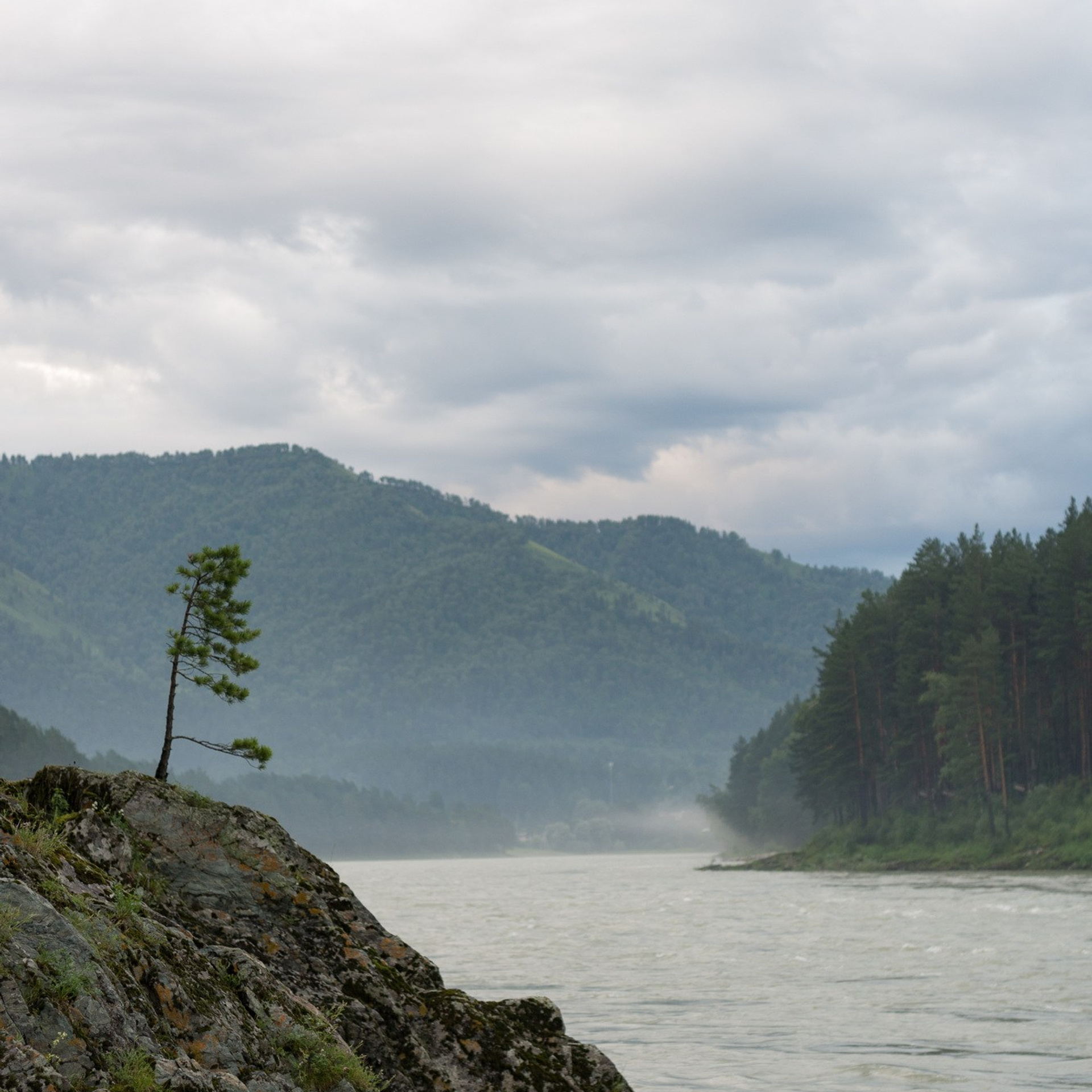 Природа. Семейный, детский и женский фотограф в Братске