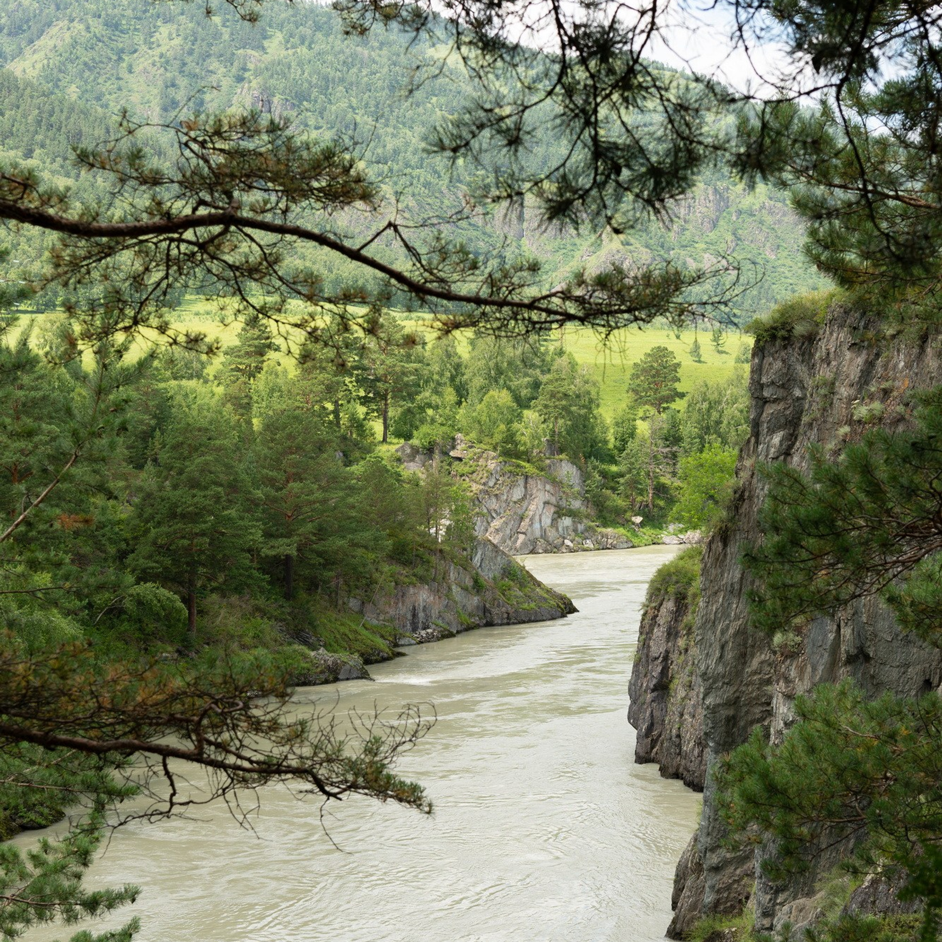 Природа. Семейный, детский и женский фотограф в Братске