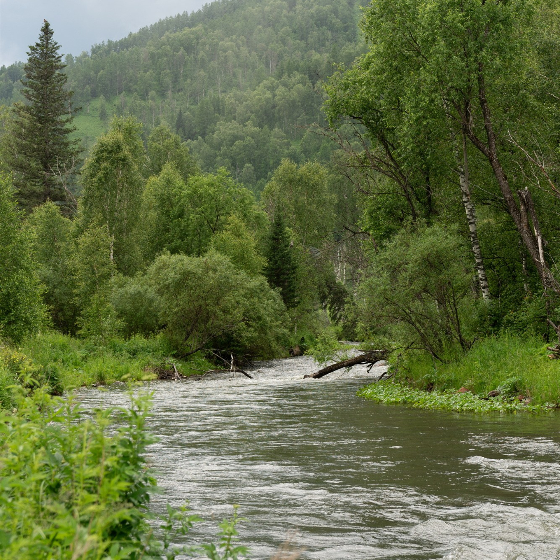 Природа. Семейный, детский и женский фотограф в Братске