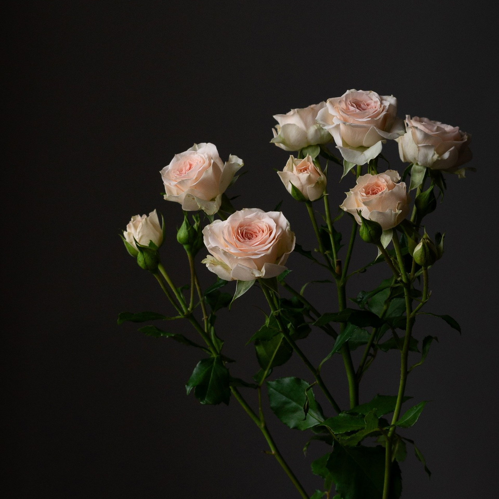 Природа. Семейный, детский и женский фотограф в Братске