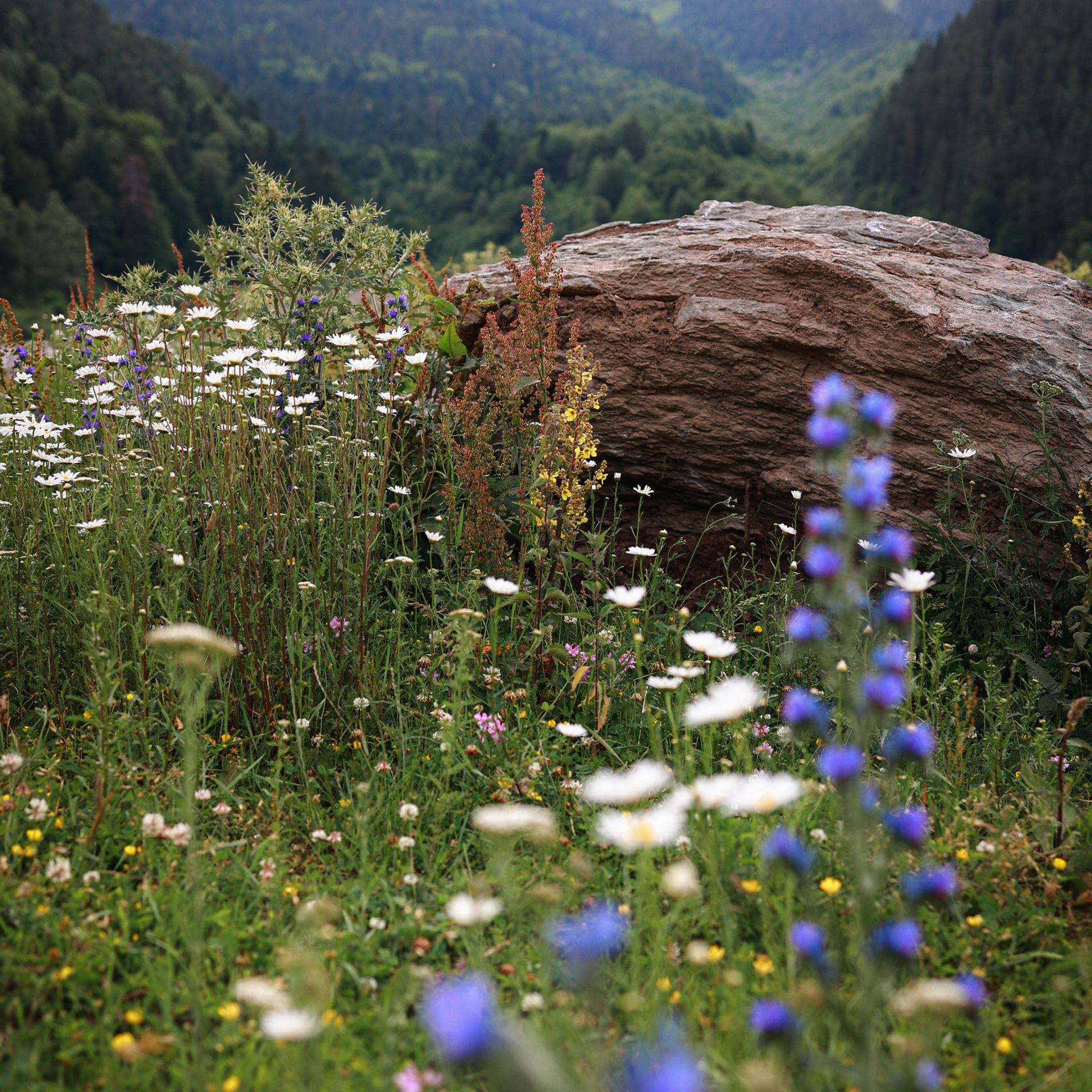 Отзывы. Татьяна Бесчастнова. Ваш семейный фотограф