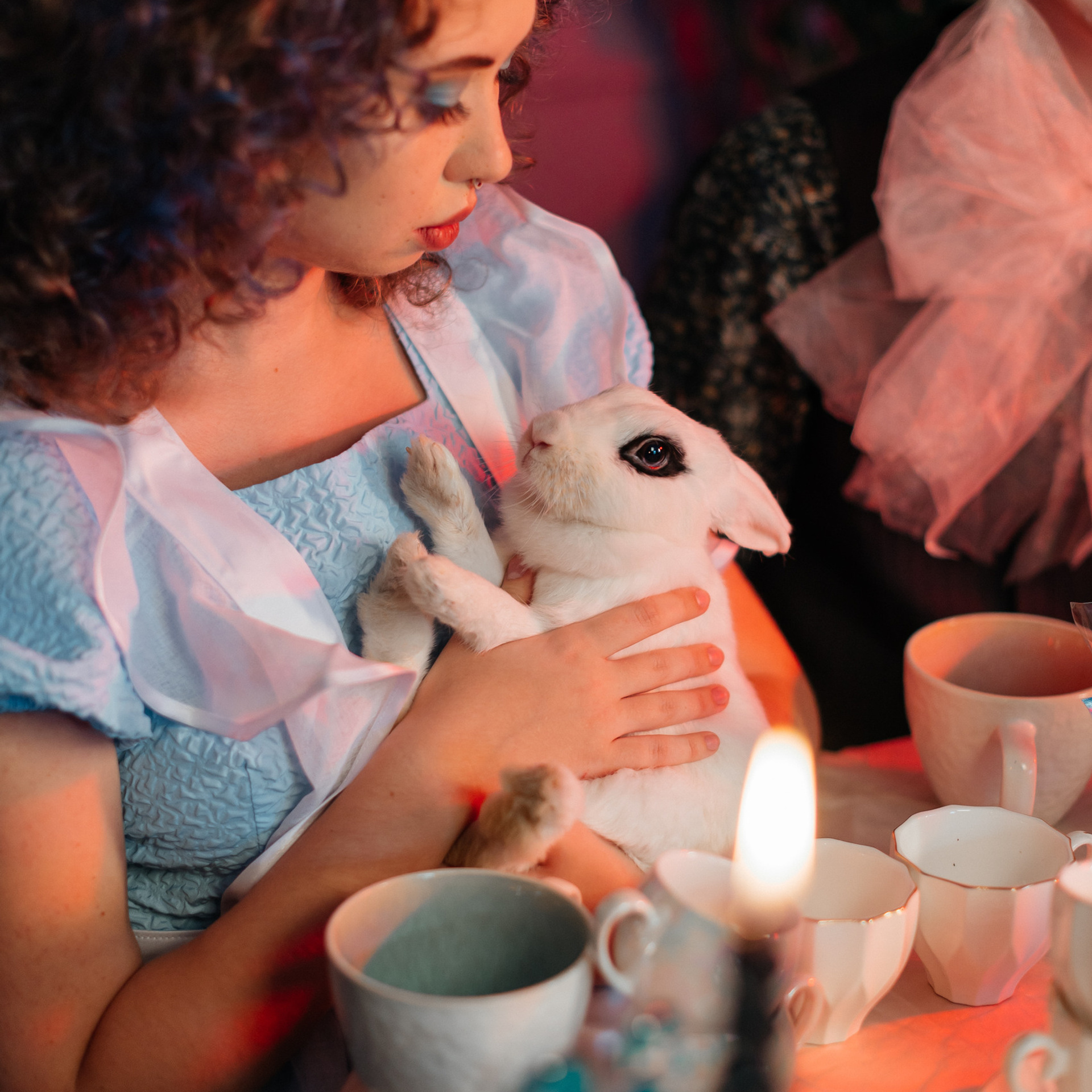 Алиса в Стране Чудес, кафе «Нора». Фотограф Юлия Старцева Тюмень