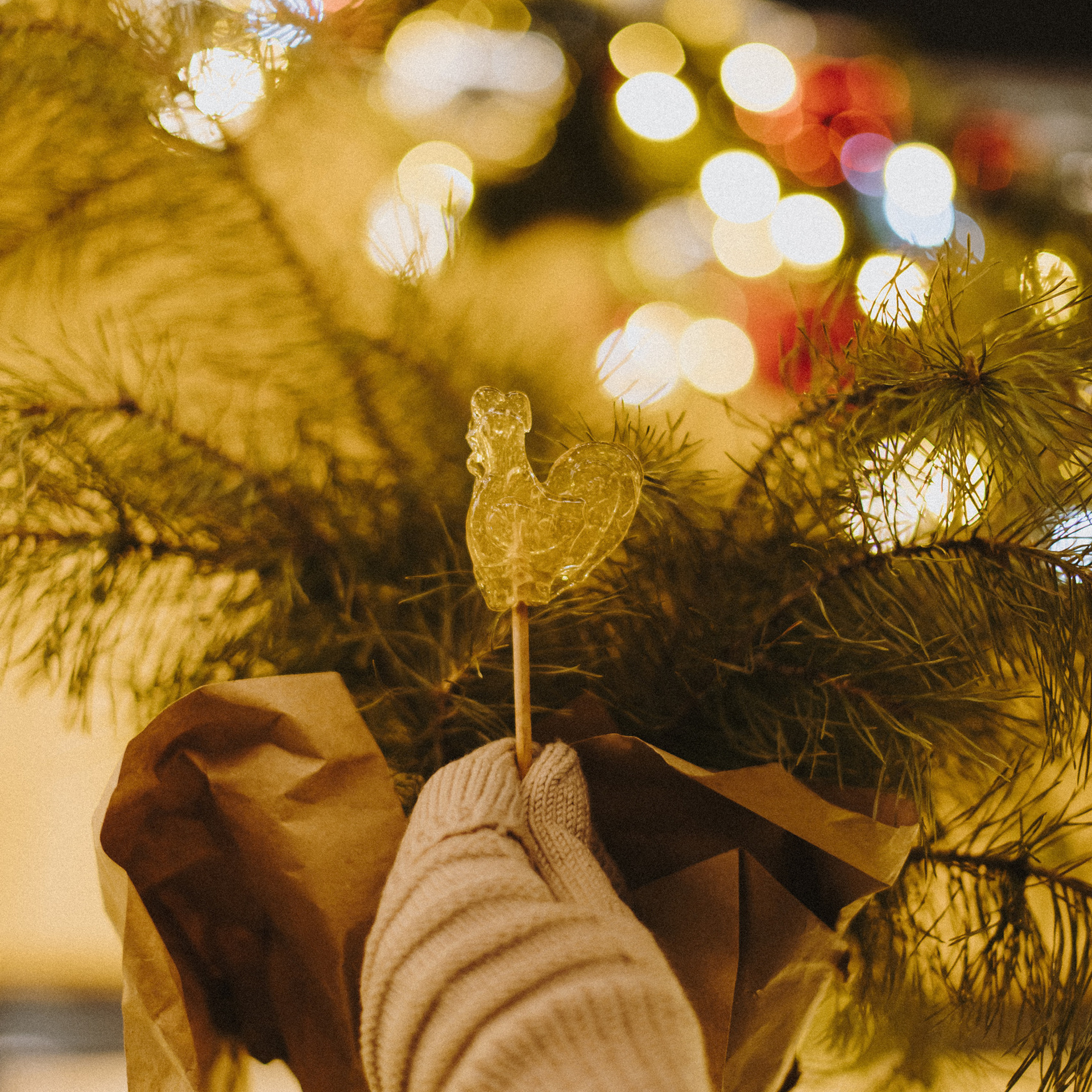 Старый Новый год. Фотограф Юлия Старцева Тюмень
