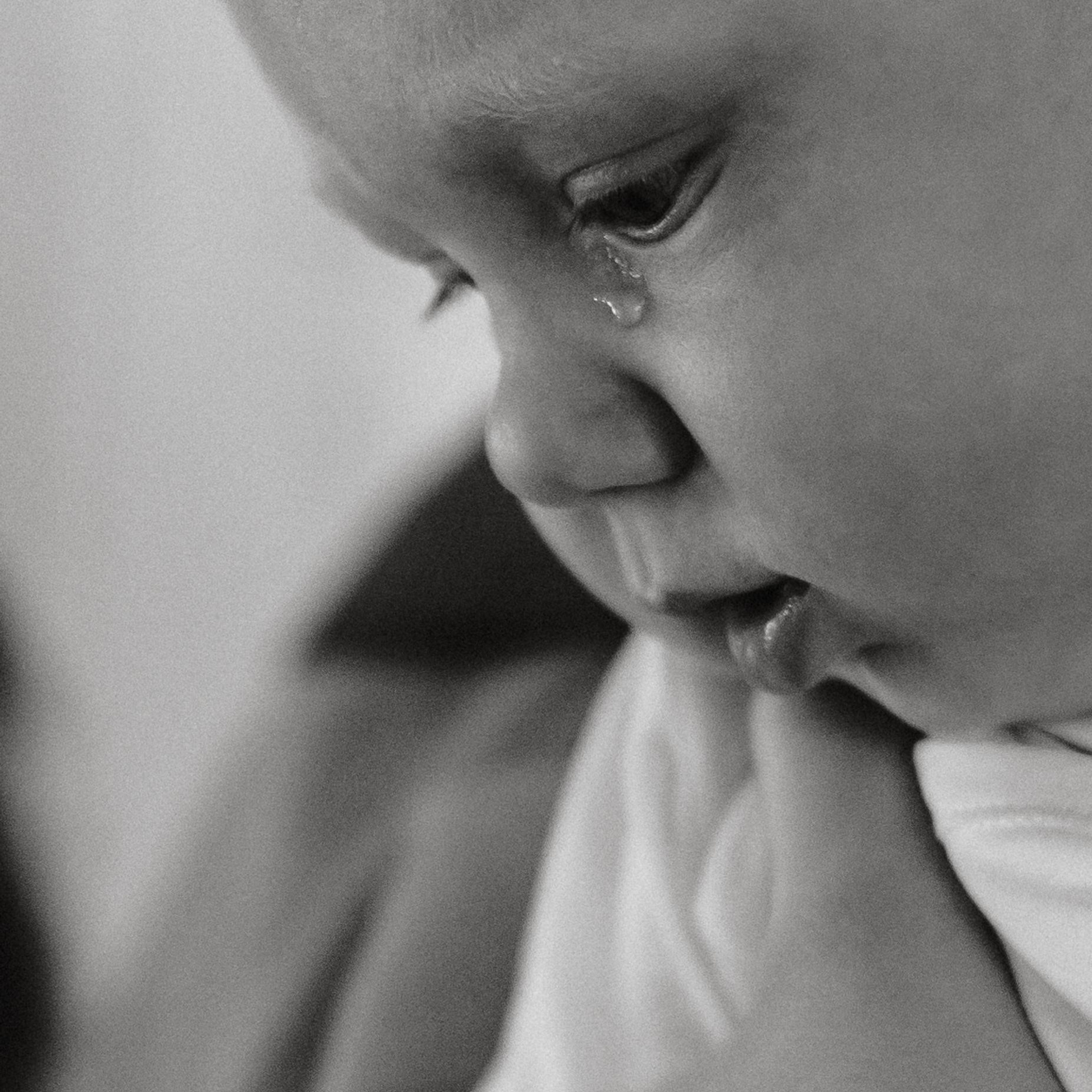 Отзывы. Коммерческий фотограф в Брянске Ольга Вороная