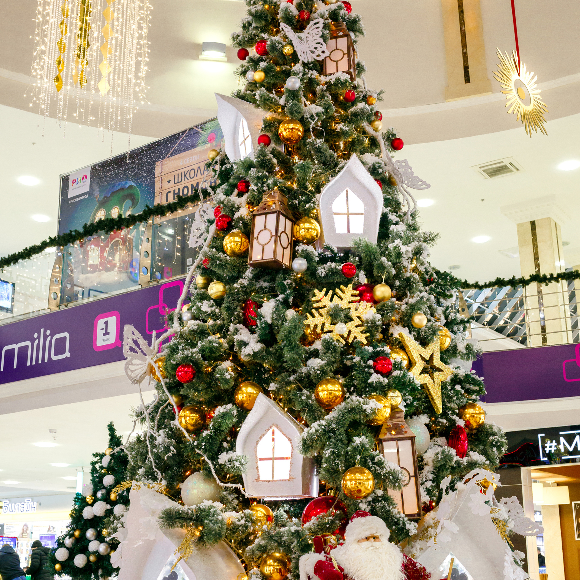 Отзывы о фотографе Виталии Рыбалове. Свадебный фотограф в Белгороде