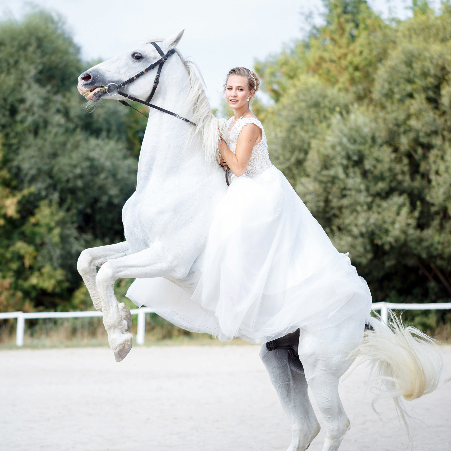 Отзывы о фотографе Виталии Рыбалове. Свадебный фотограф в Белгороде