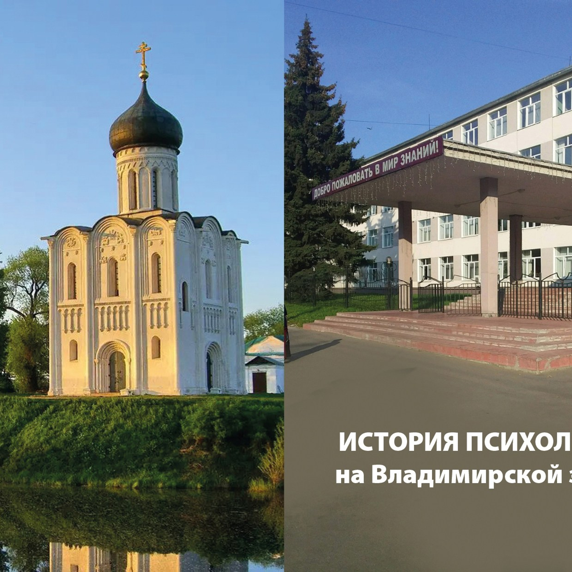 Статьи по психологии. Психологическая служба  — реестр психологов АПВО