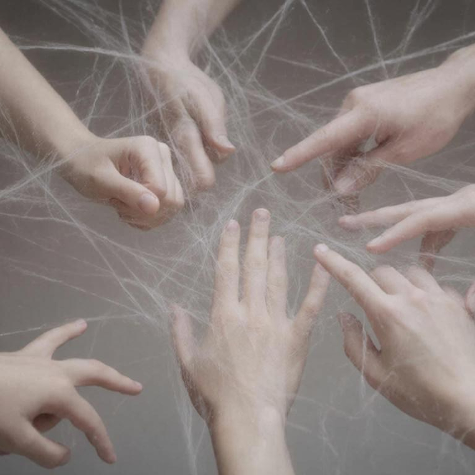 Анонсы. Психологическая служба  — реестр психологов АПВО