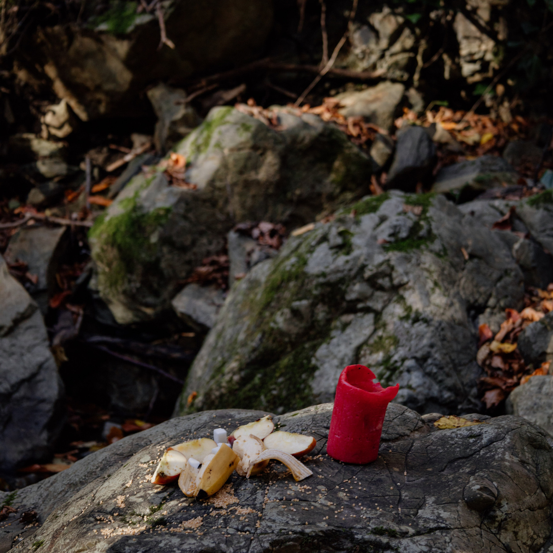 ОТЗЫВЫ. Фотограф — психолог Сочи, Краснодар, Москва