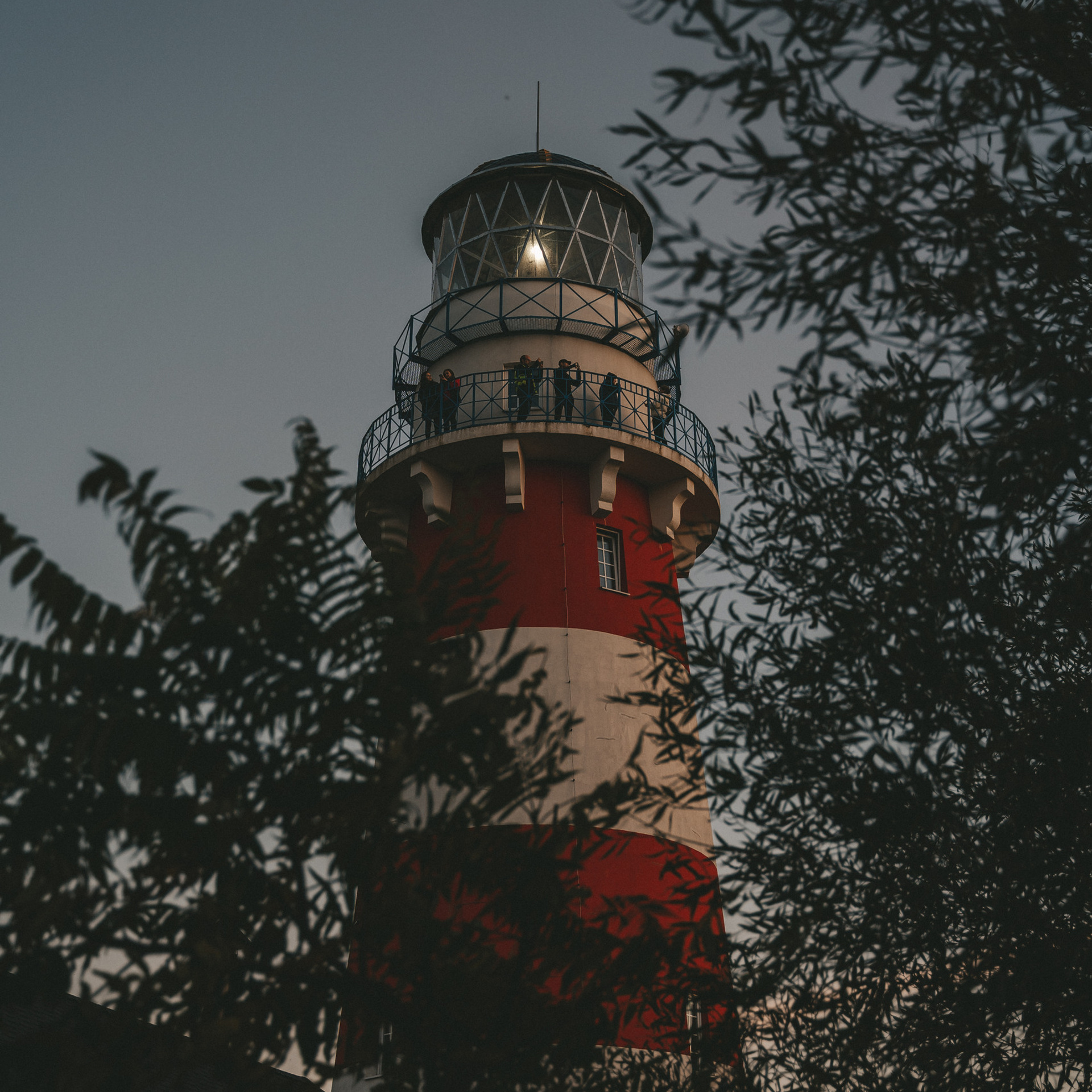 Отзывы. Веденеева Валентина семейный репортажный лайфстайл фотограф Москва