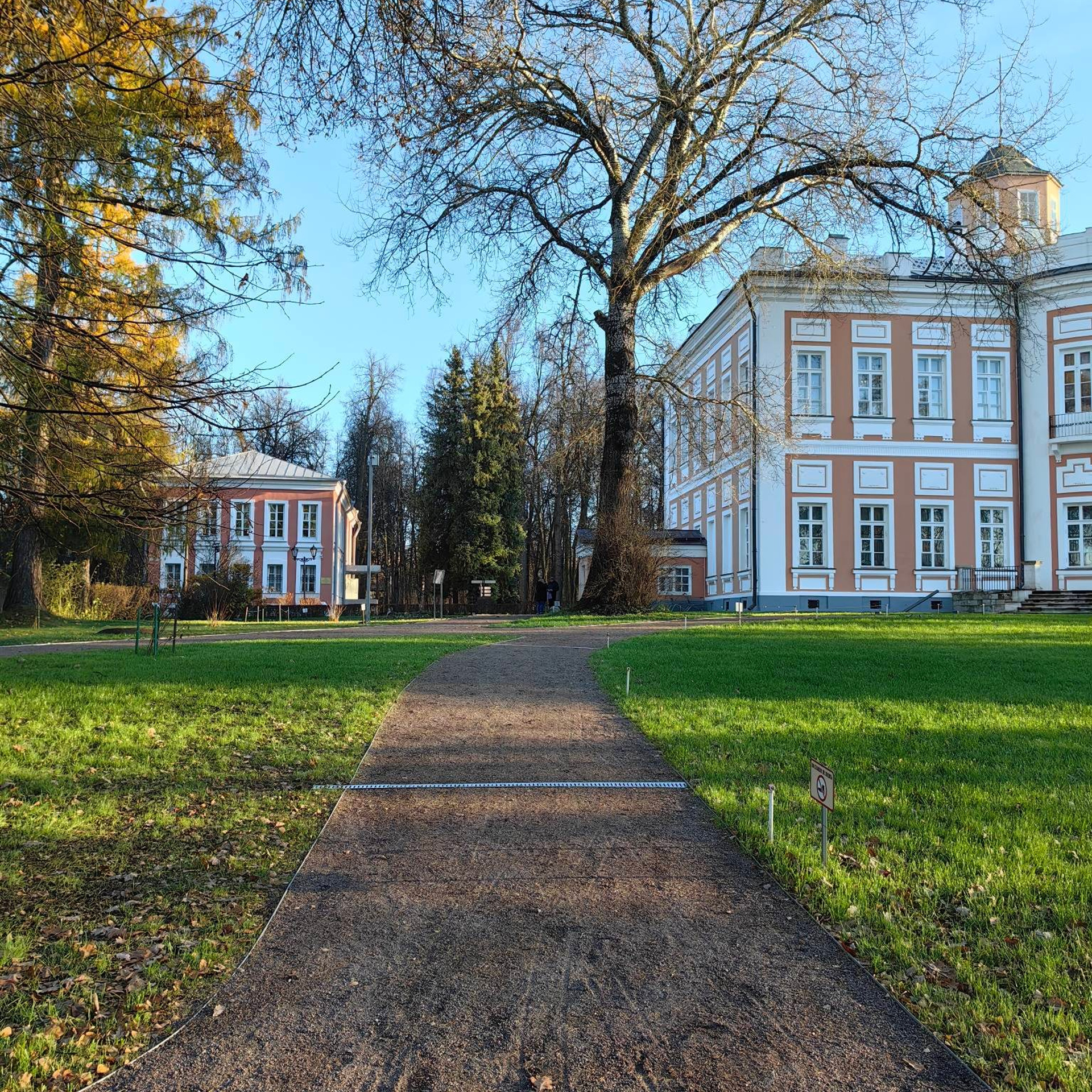 Дом-дворец и флигели (70—80-е годы XVIII века)