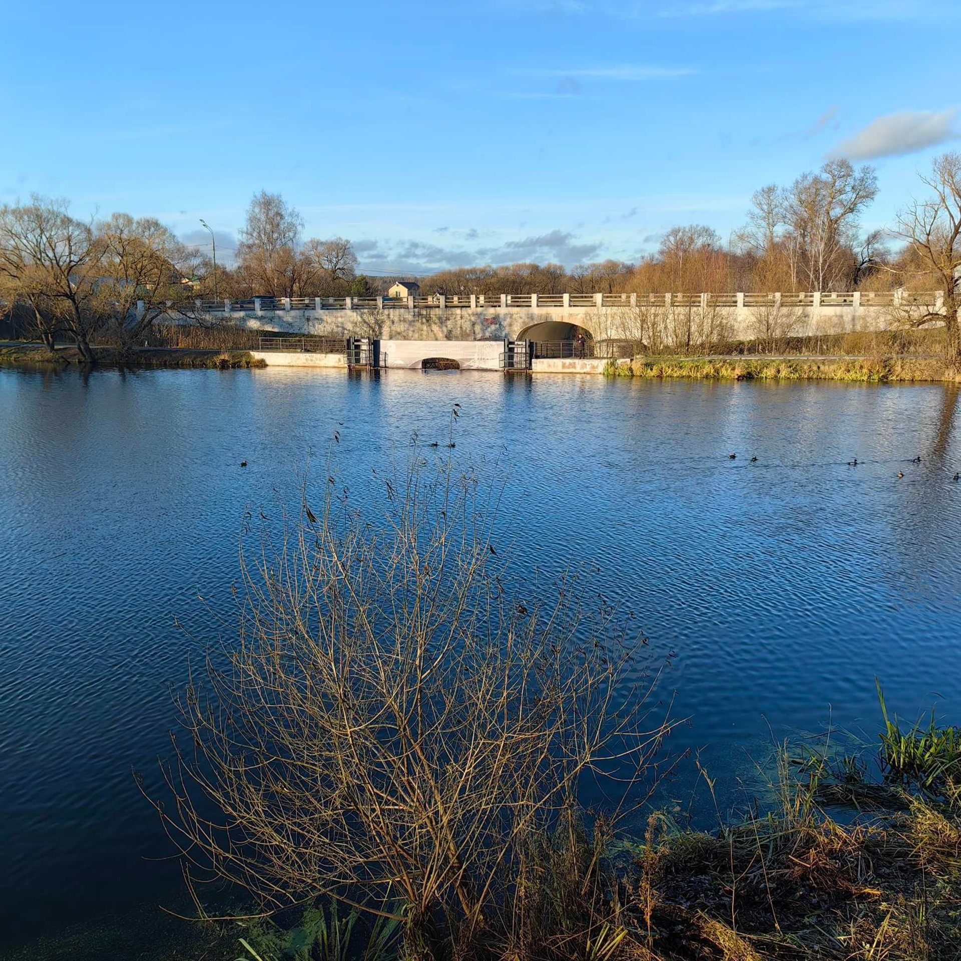Плотина на реке Вязёмке, построенная по указу Бориса Годунова