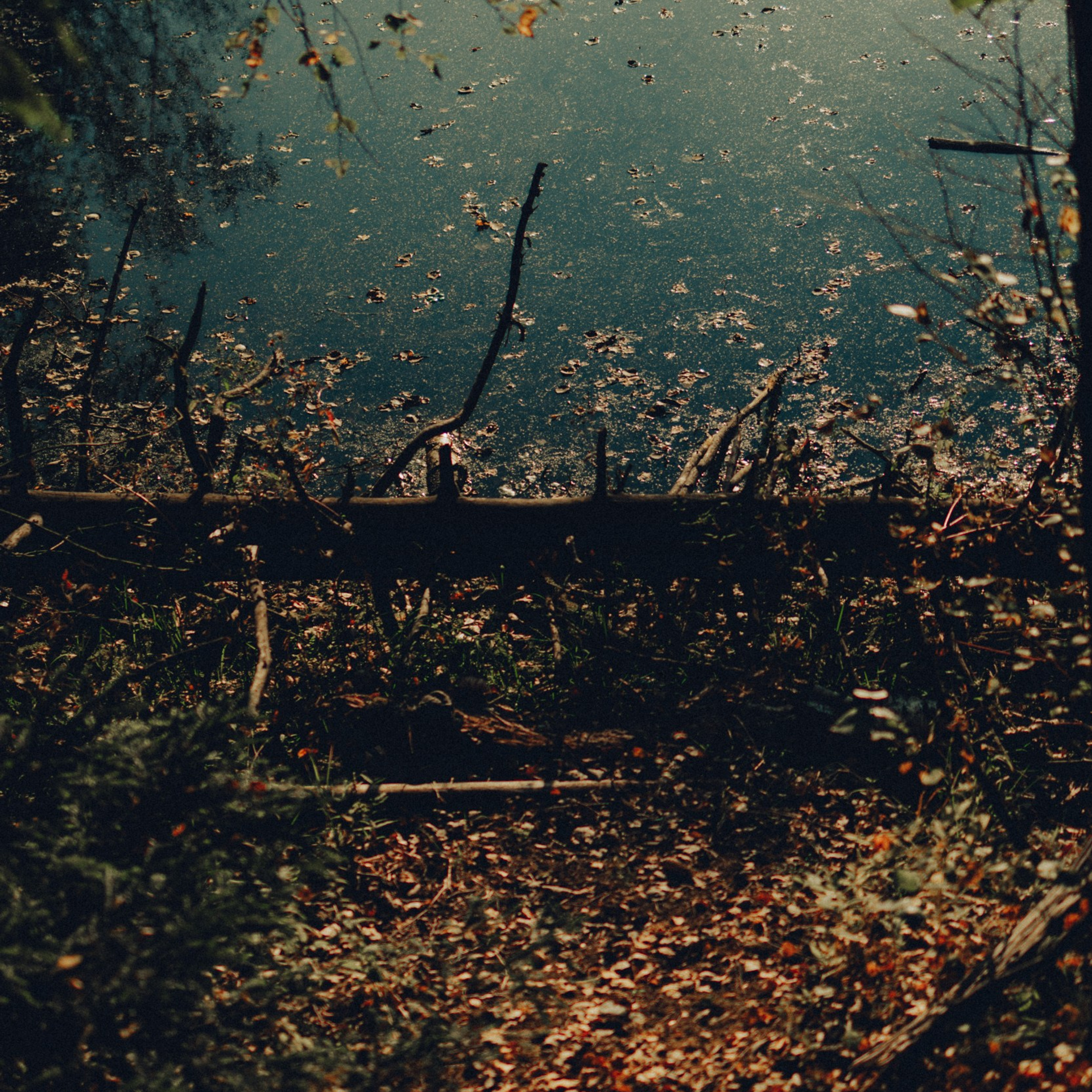 Репортажный фотограф Кирилл Бартенев