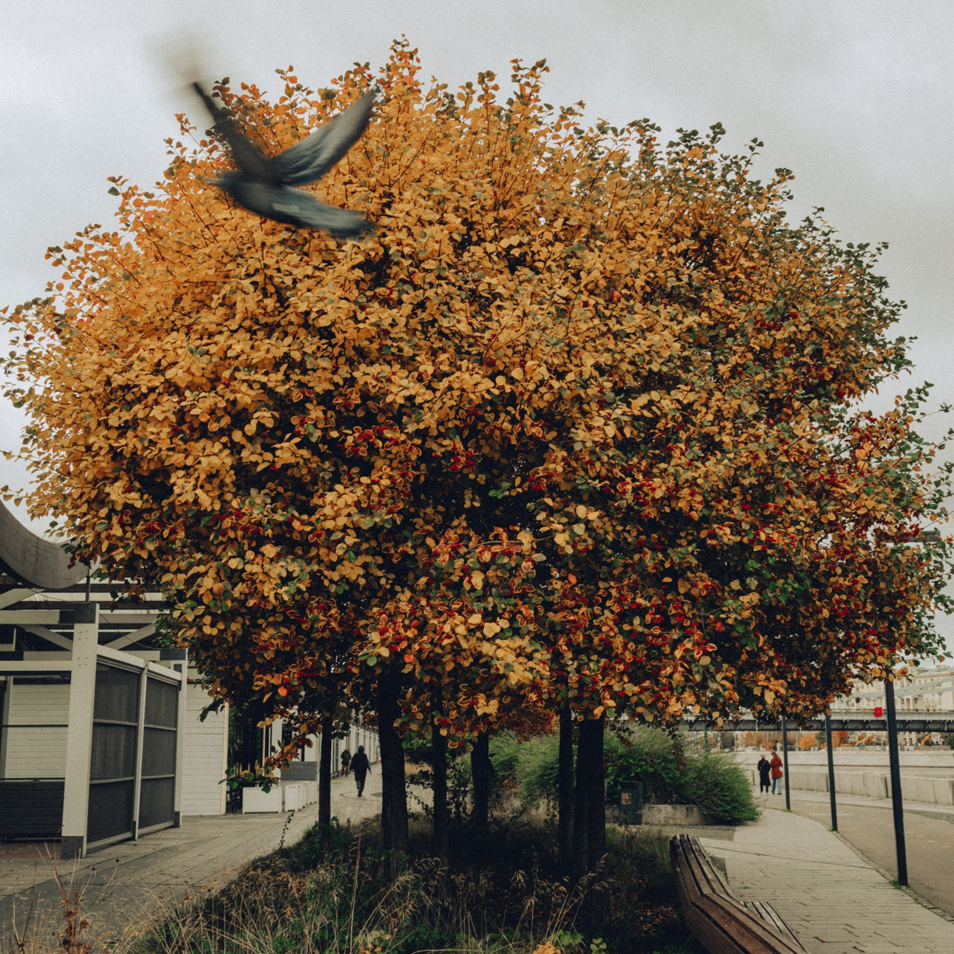 Репортажный фотограф Кирилл Бартенев