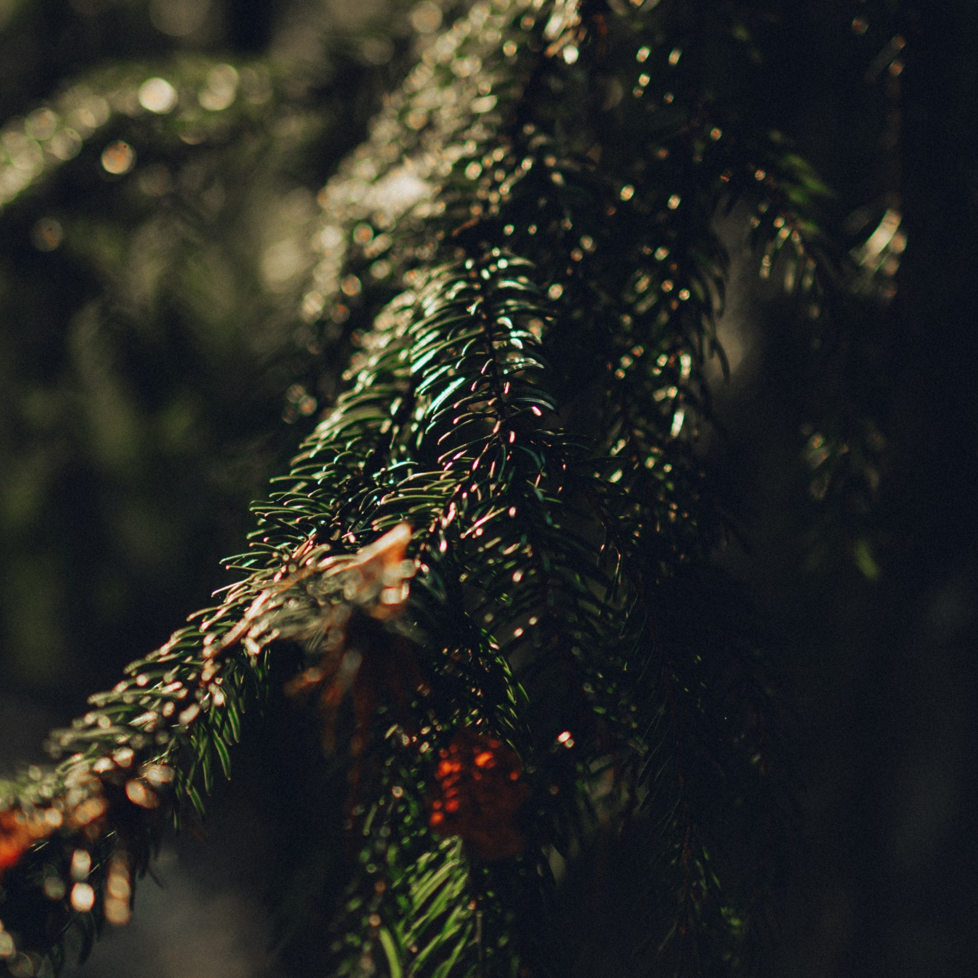 Репортажный фотограф Кирилл Бартенев