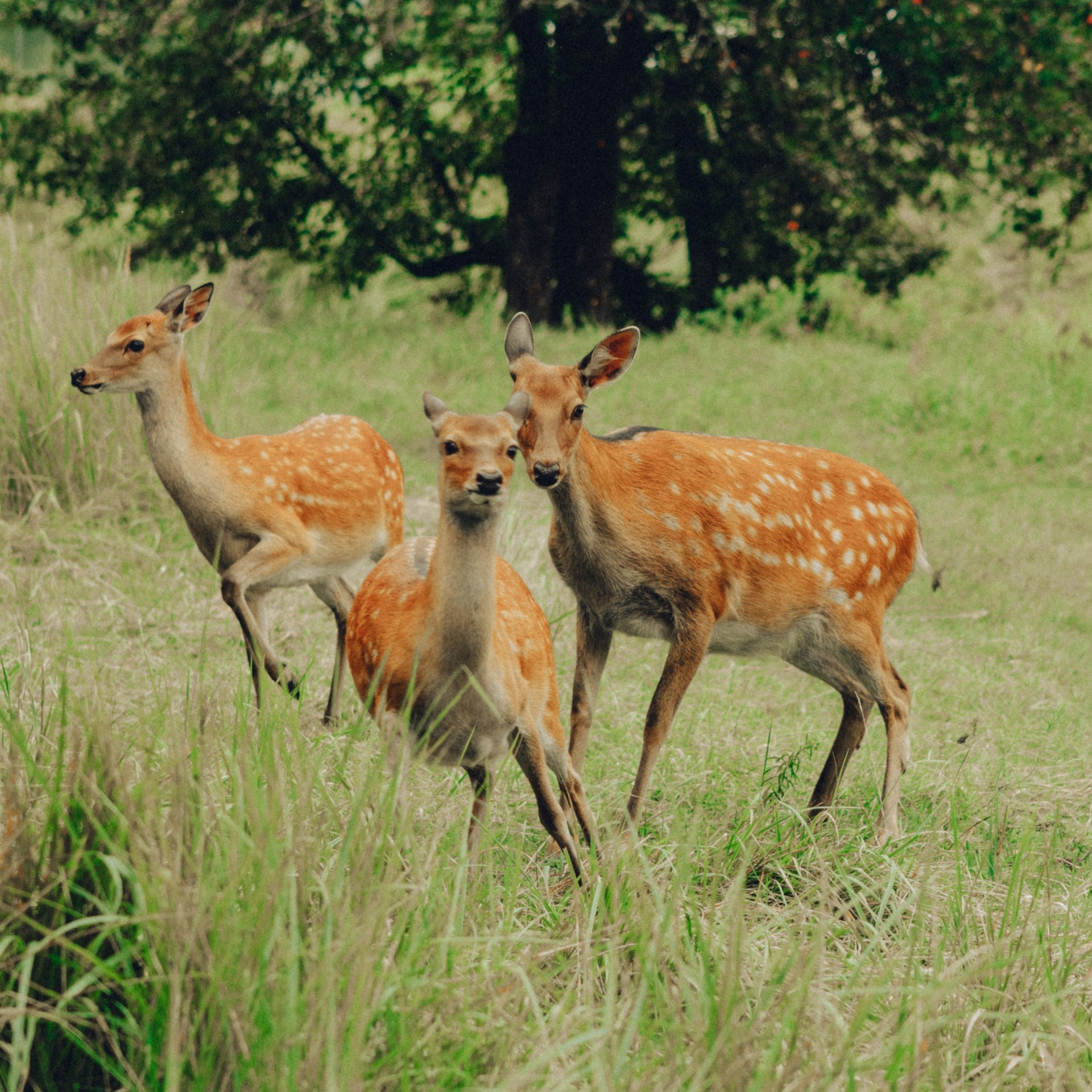 Репортажный фотограф Кирилл Бартенев