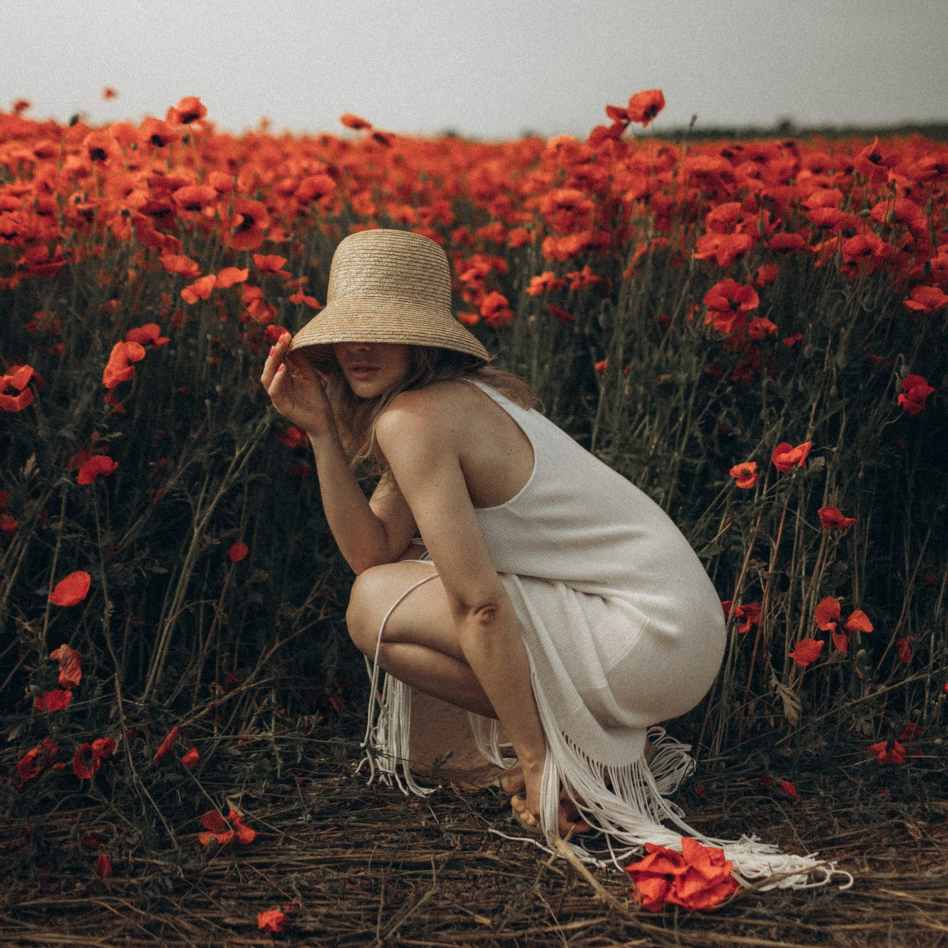 Маки страсти — Вероника