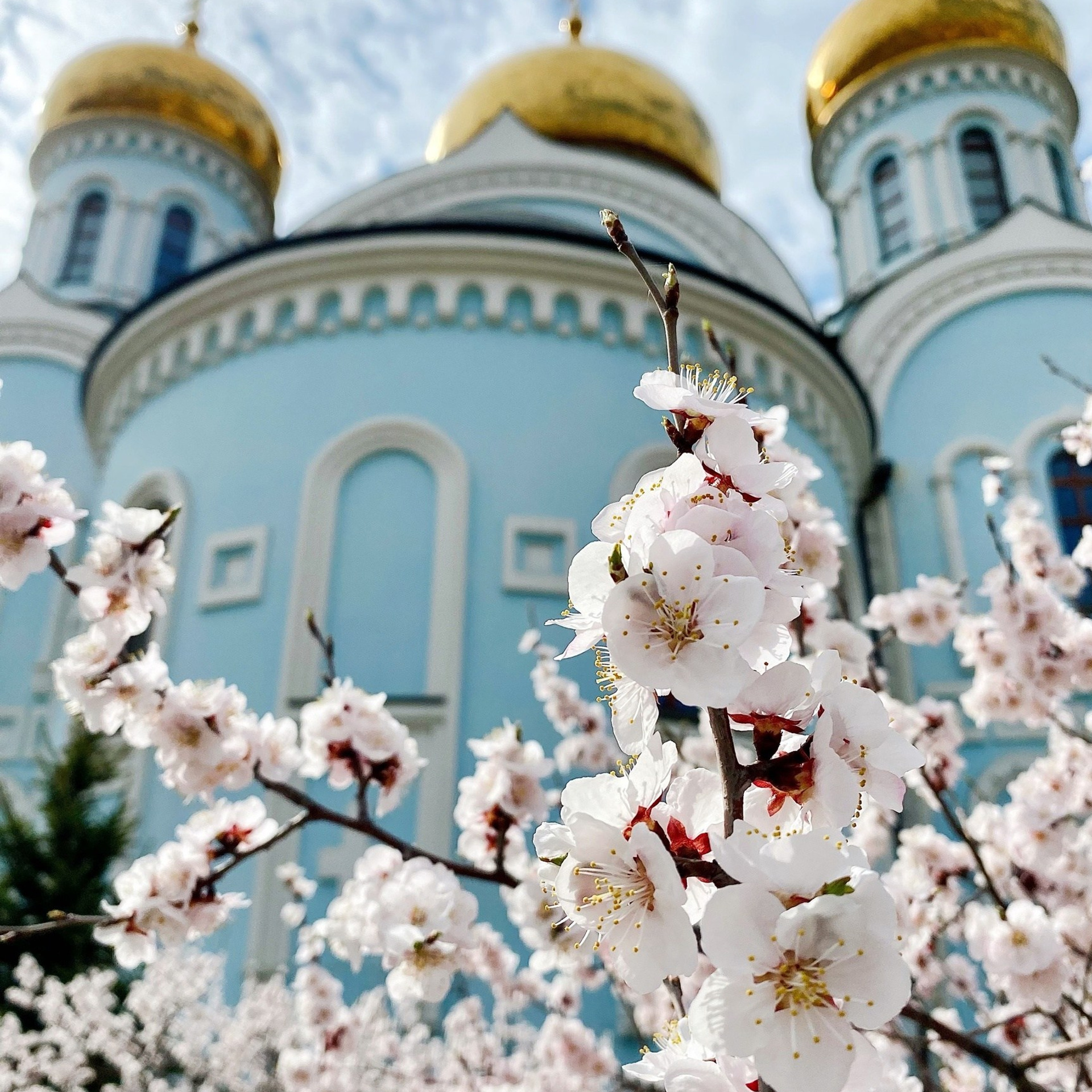 Отзывы. Профессиональный фотограф Церковных Таинств в Чите Ткачук Юлия