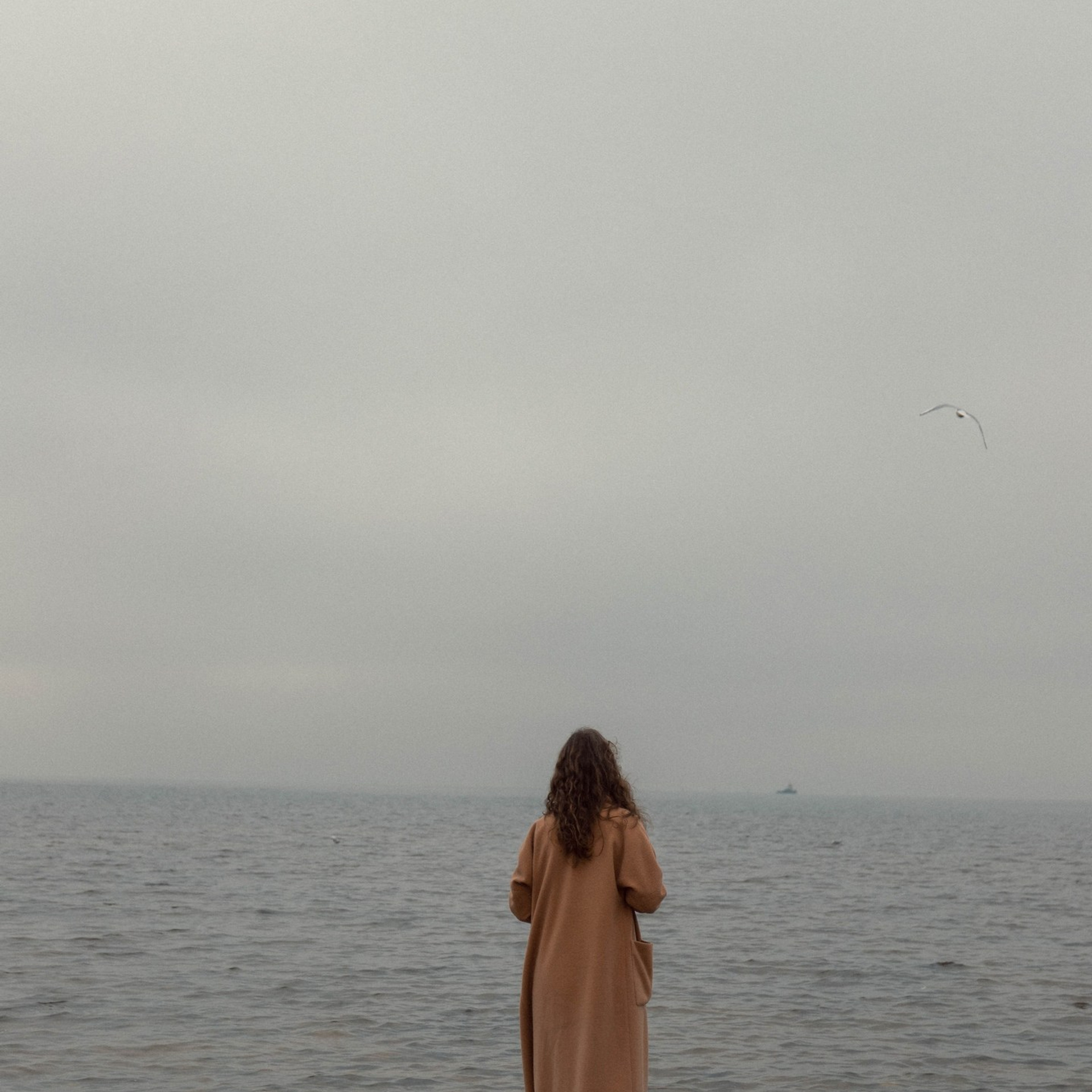 Екатерина Постовар @katepostovat