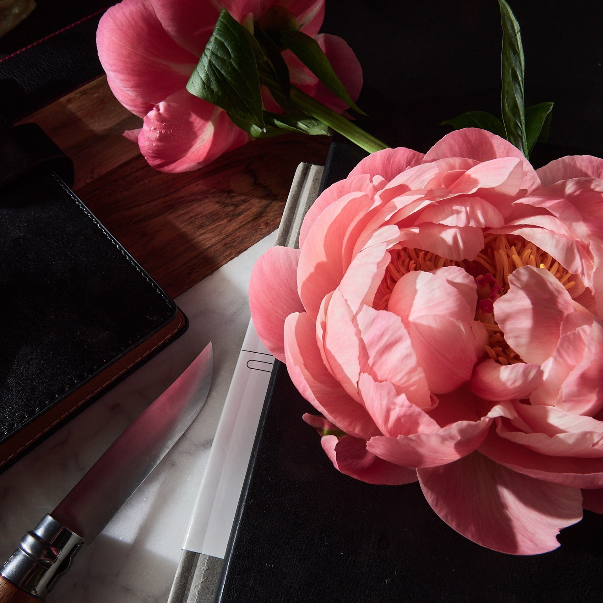 Упражнение с черепом и пионами