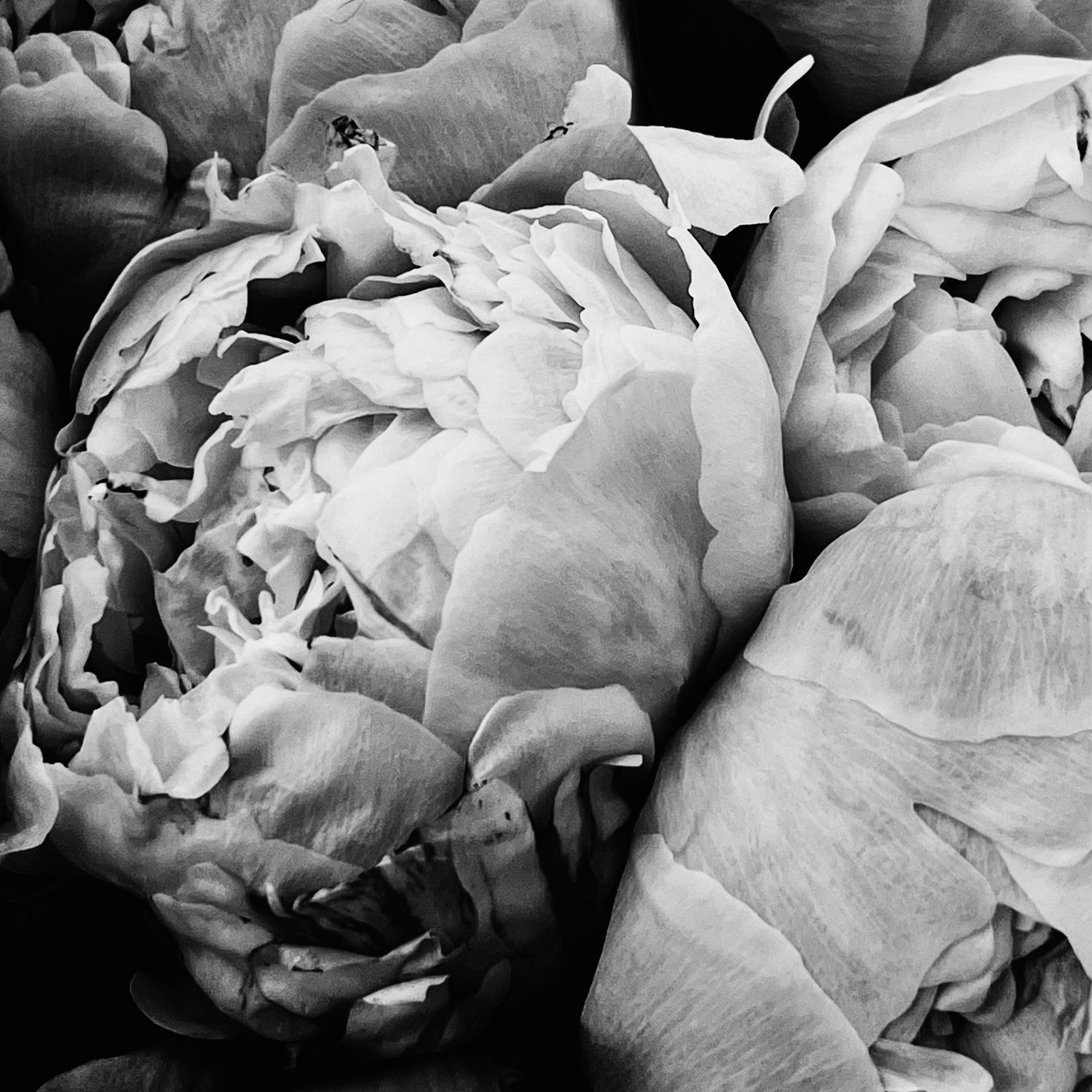 Творческие проекты