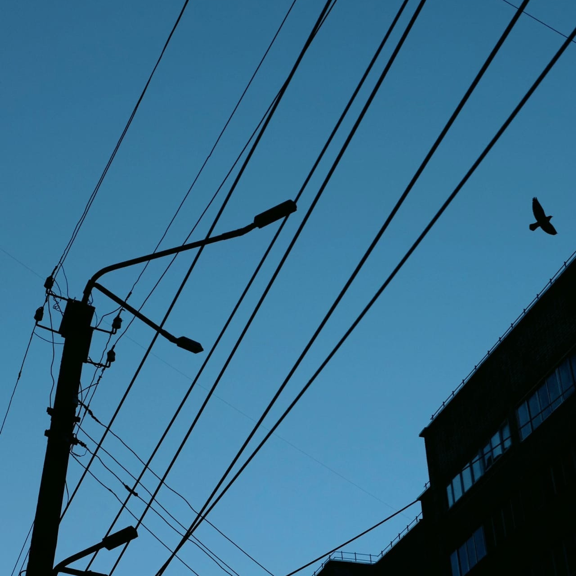 Alekseyes| фото- и видеосъемка для бизнеса в Кирове