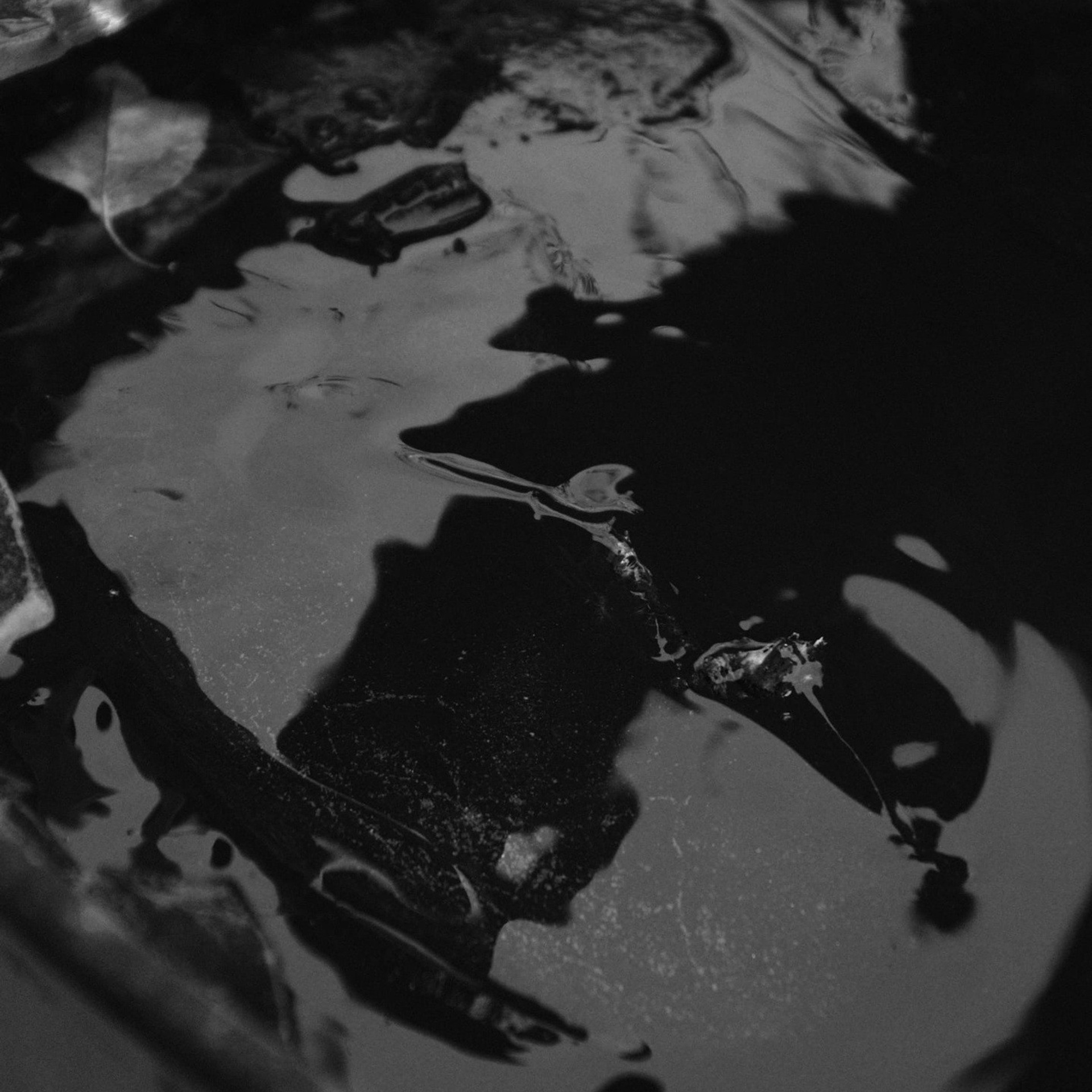 Alekseyes| фото- и видеосъемка для бизнеса в Кирове