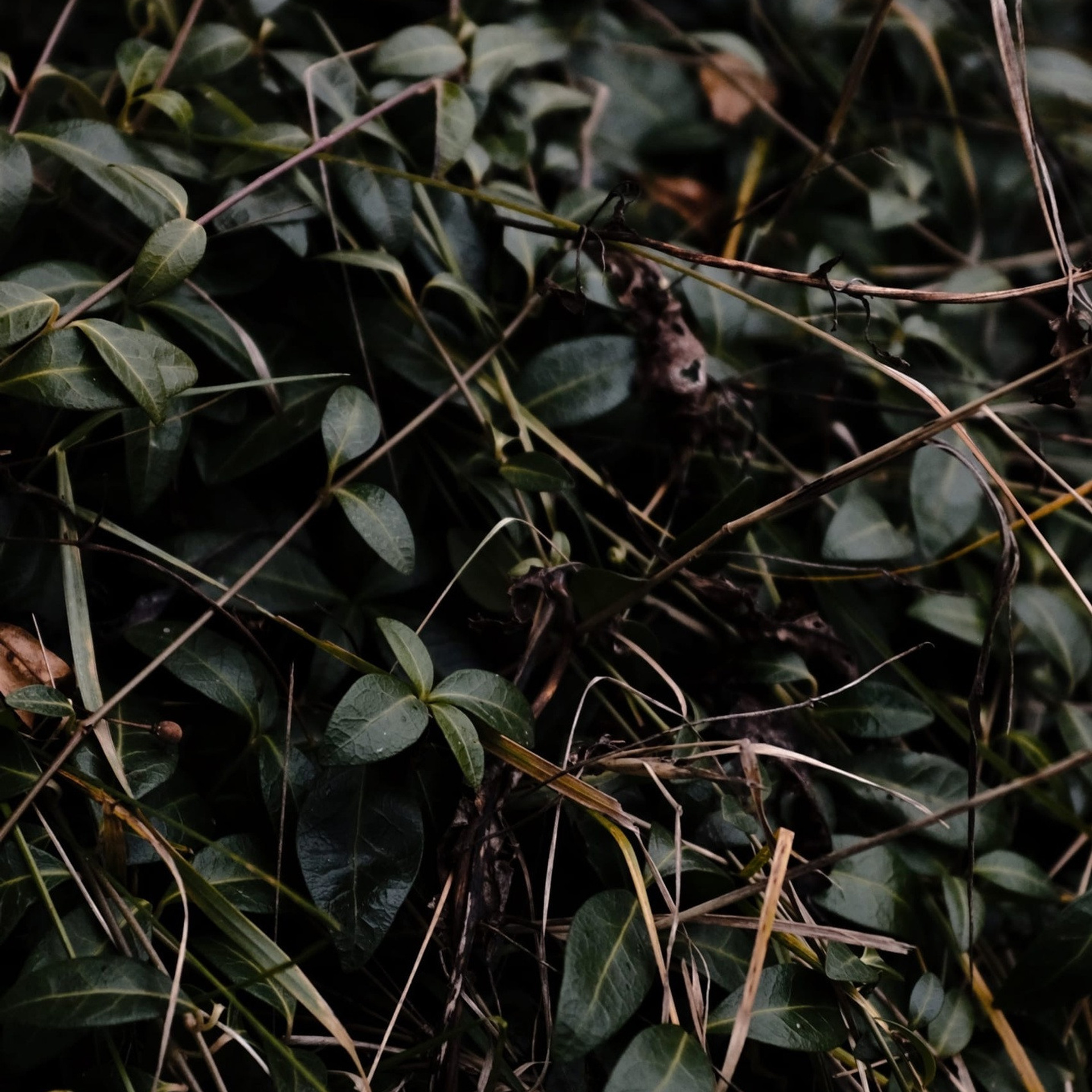 Alekseyes| фото- и видеосъемка для бизнеса в Кирове