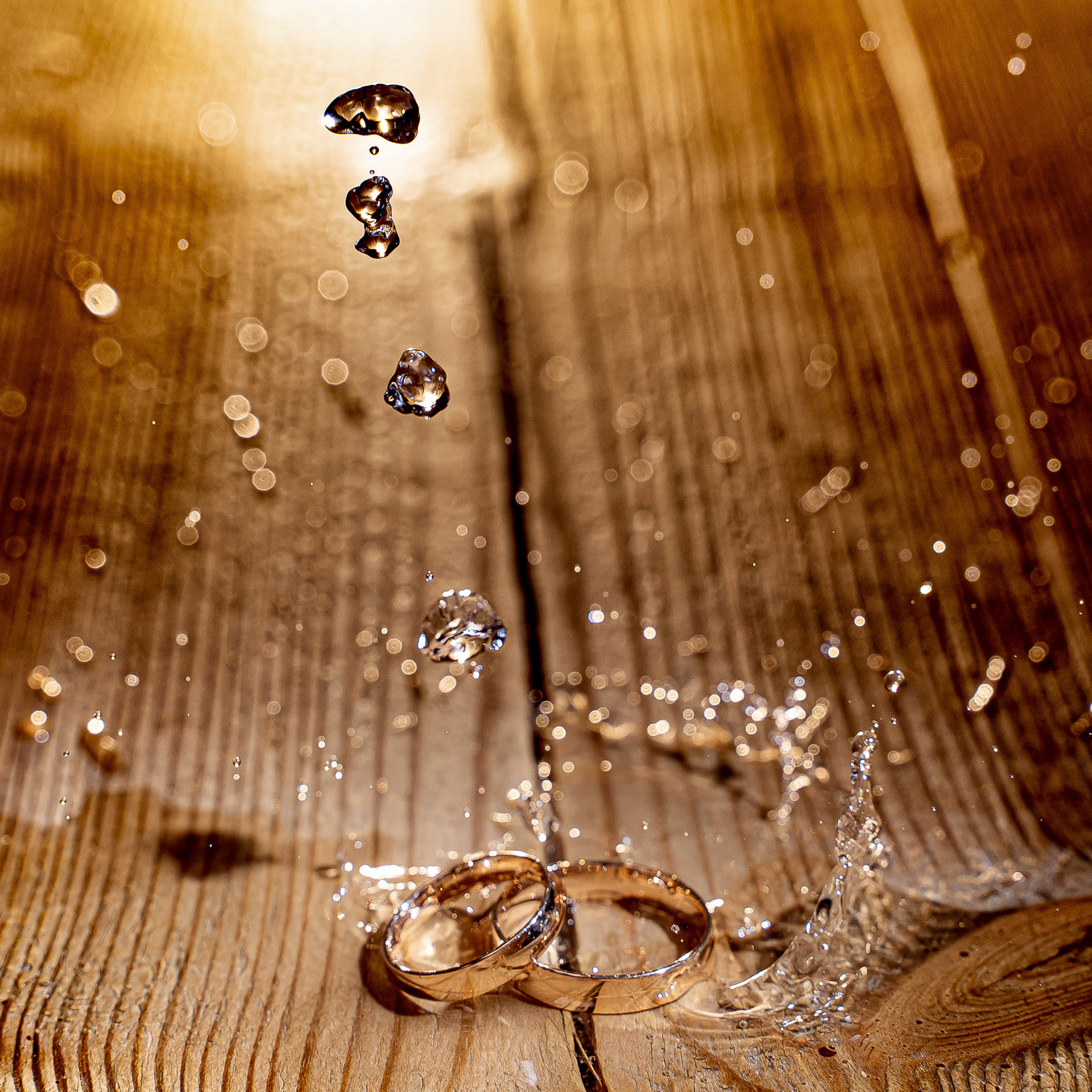 Отзывы. Сергей Кошкин Фотограф