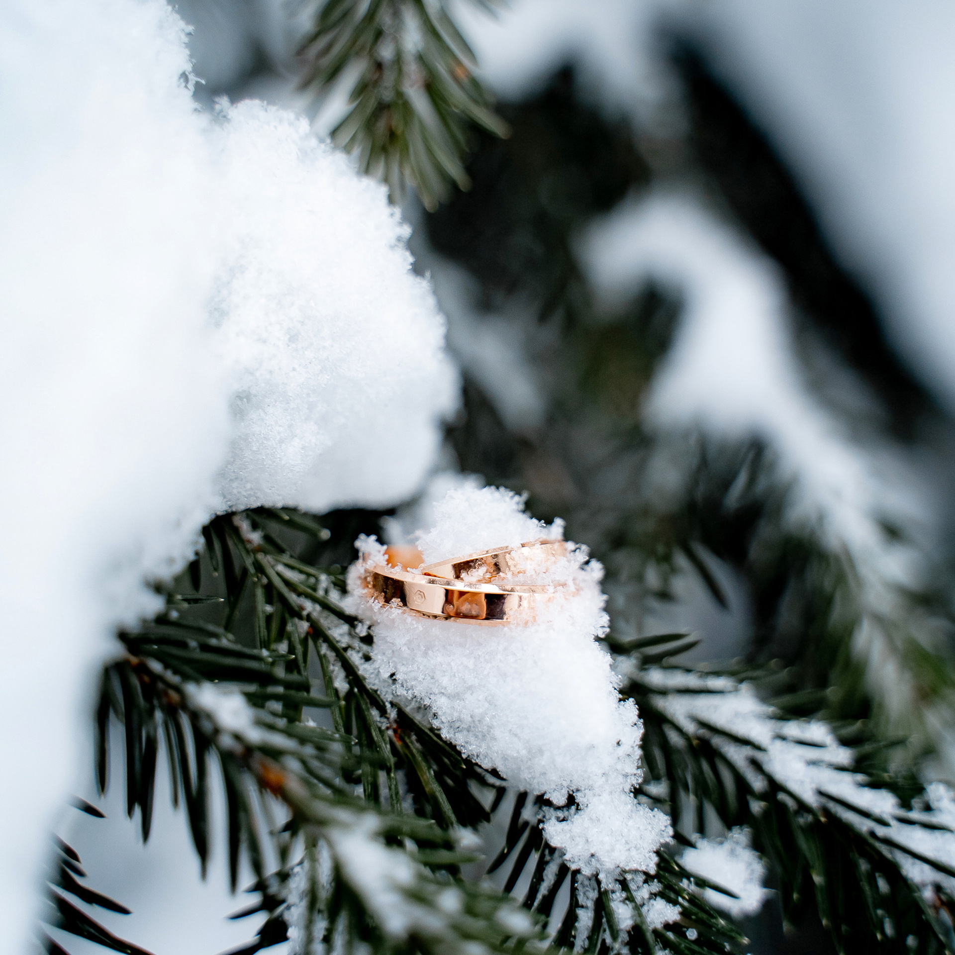 Отзывы. Сергей Кошкин Фотограф