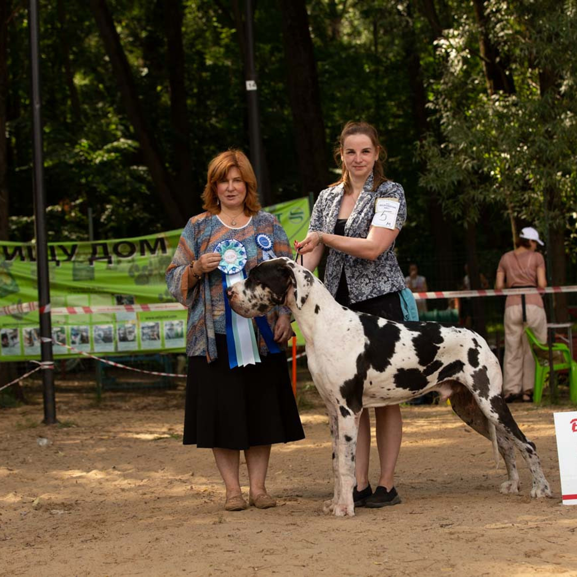 Отзывы. Фотограф-анималист Юлия Германика