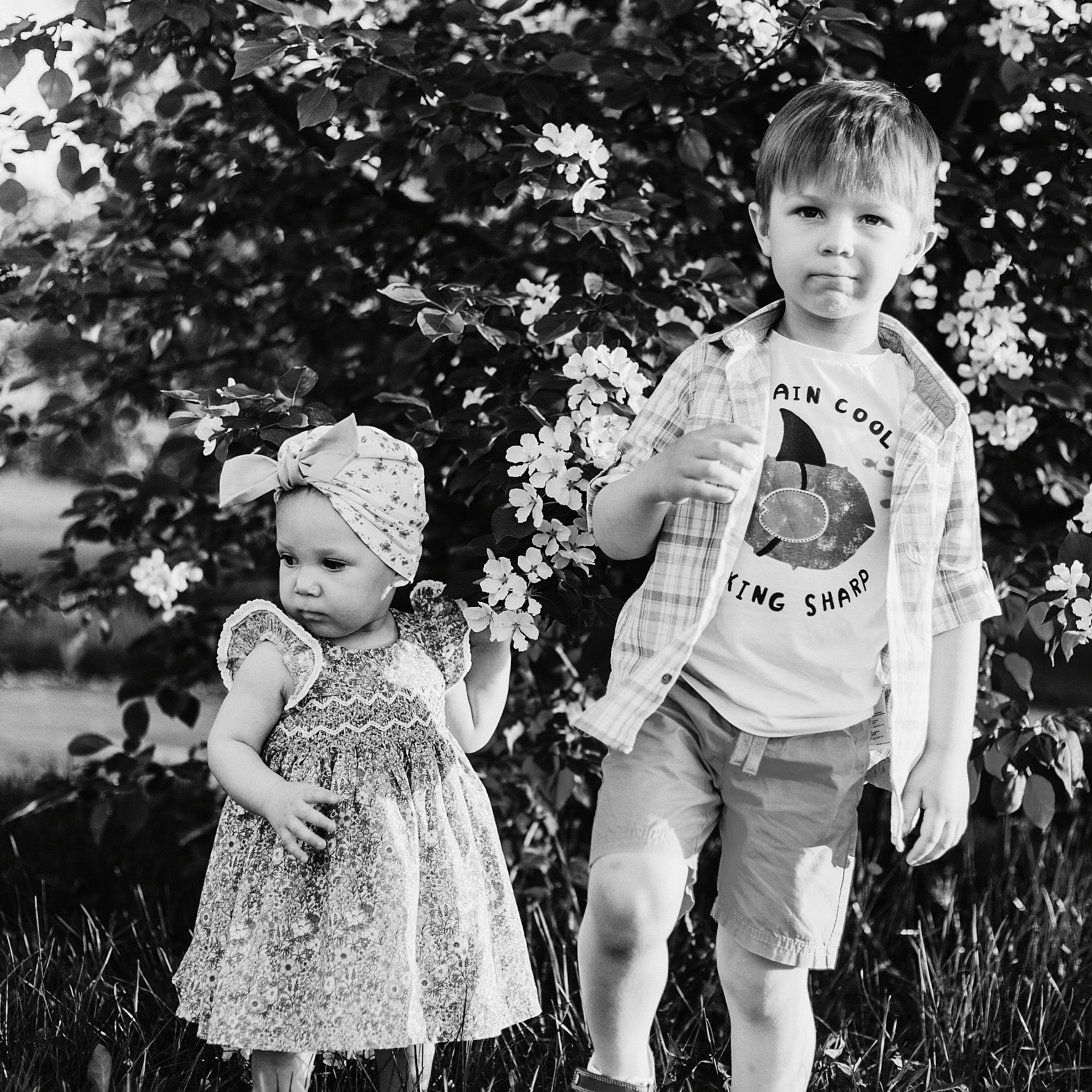 Миша, Маша и родители.