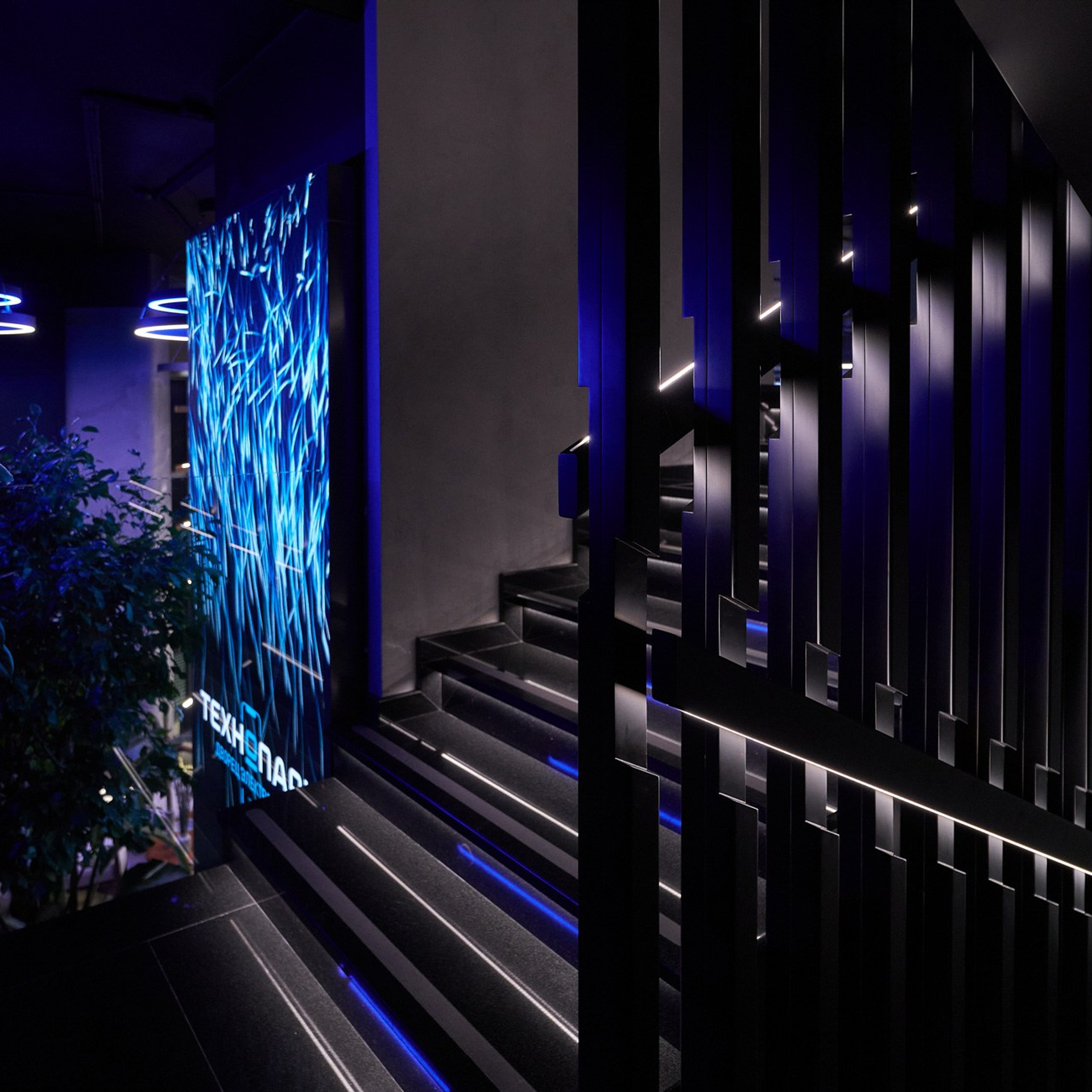 Технопарк. Гипермаркет электроники. Контент-креатор Паша Норицын