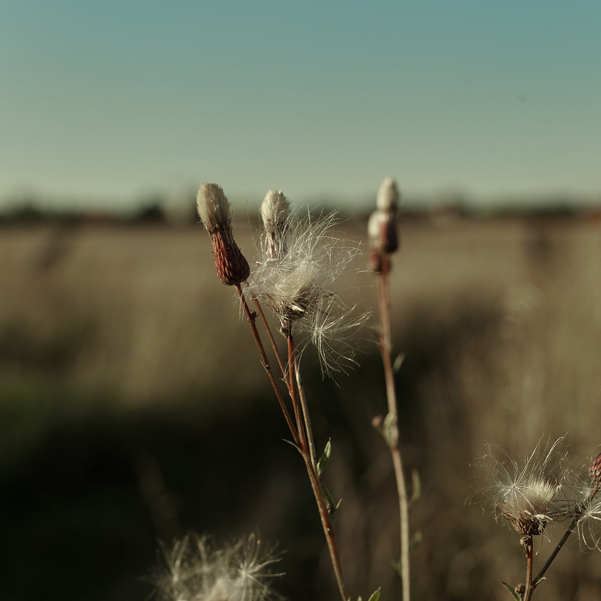 Отзывы. Фотограф в Москве Ира Васильева