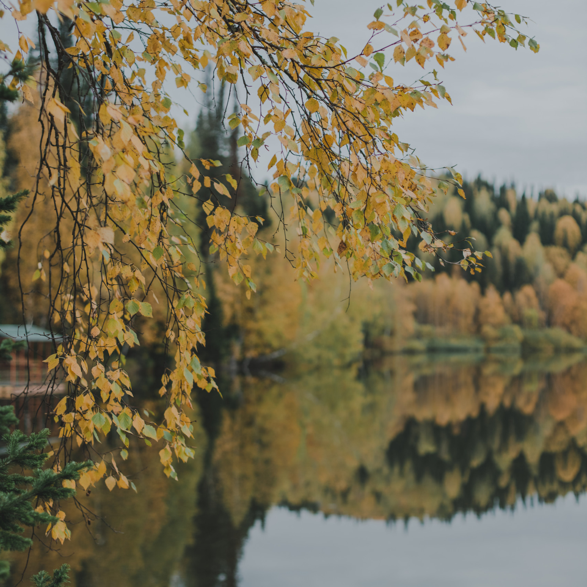 Отзывы. Главная