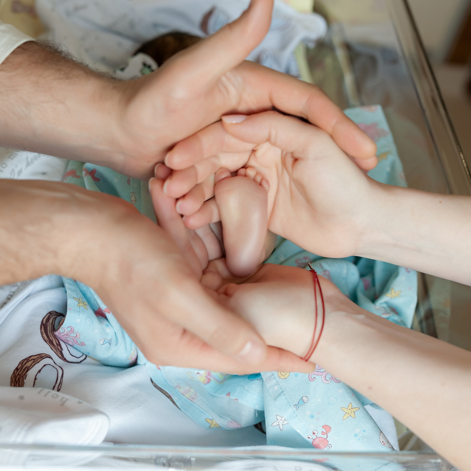 Отзывы. Фотограф в роддоме Сестрорецком г. Санкт-Петербург Банасиковская Ксения