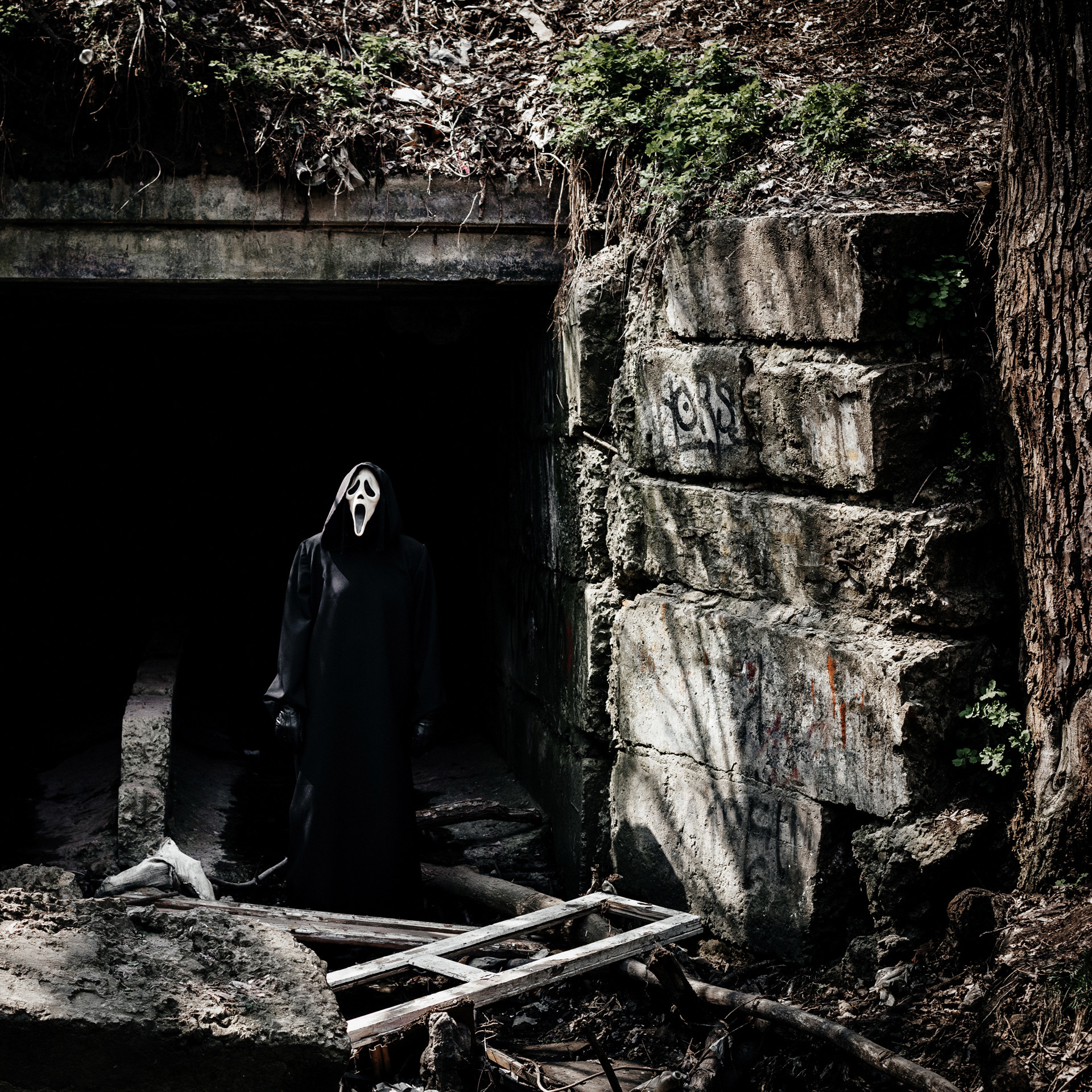 Дядя Крик: уникальный фотопроект от фотографа Бакарюк Антона. Свадебный и семейный фотограф в Таганроге Бакарюк Антон