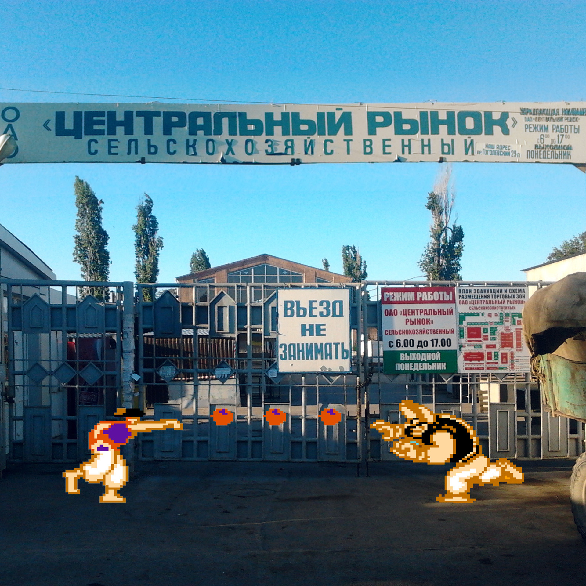 Таганрогский денди: уникальный фотопроект от талантливого фотографа. Свадебный и семейный фотограф в Таганроге Бакарюк Антон