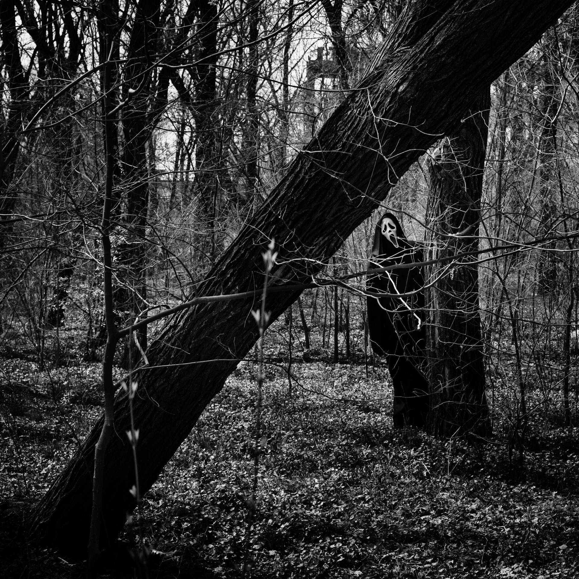 Дядя Крик: уникальный фотопроект от фотографа Бакарюк Антона. Свадебный и семейный фотограф в Таганроге Бакарюк Антон