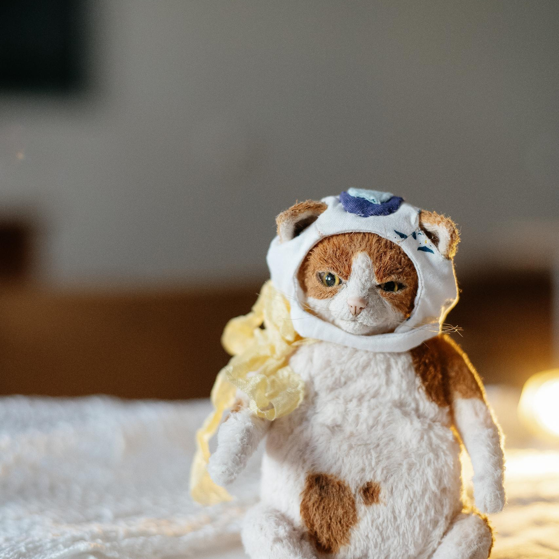 Отзывы. Фотограф в Нижнем Новгороде и Кстово