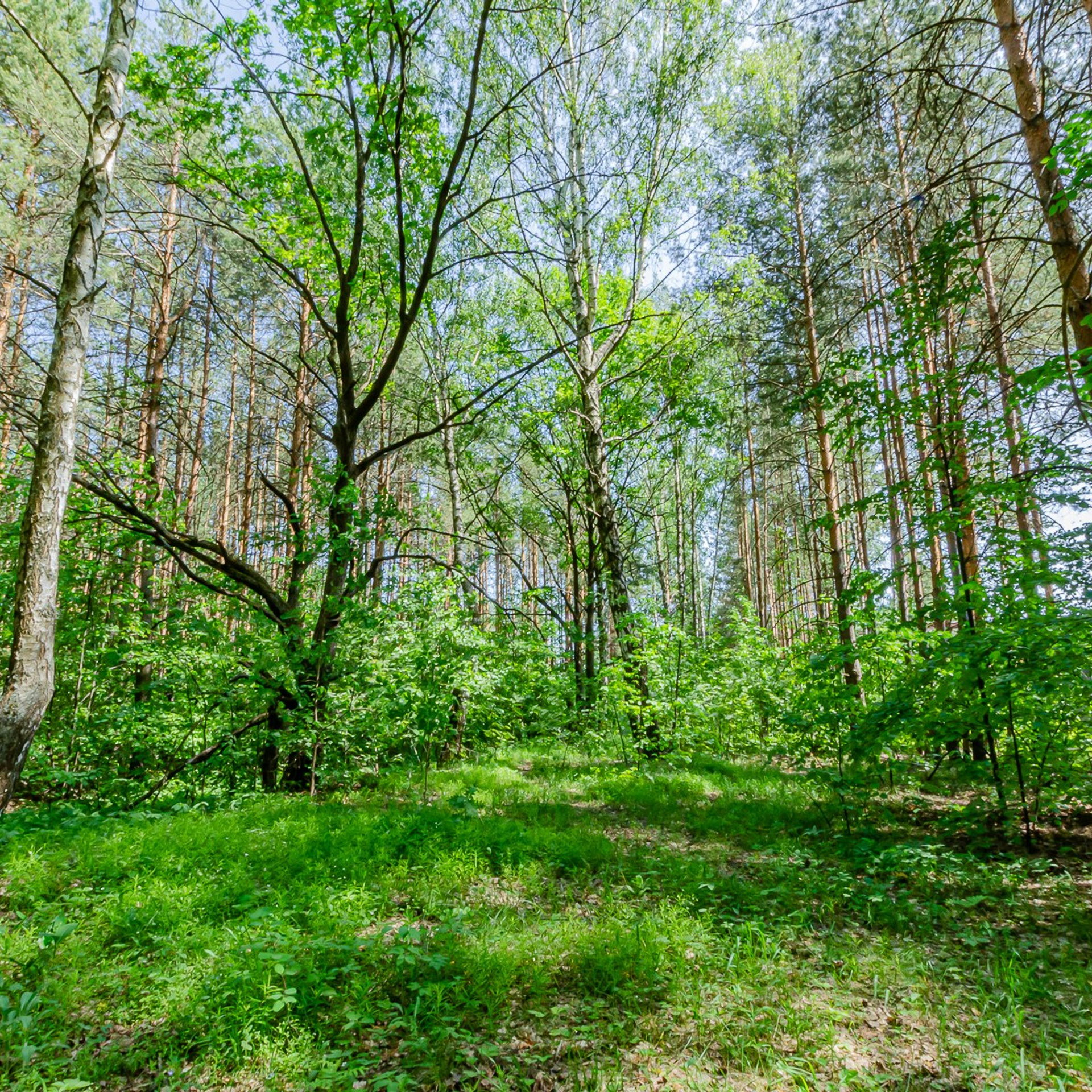 Участок в Чебаксе