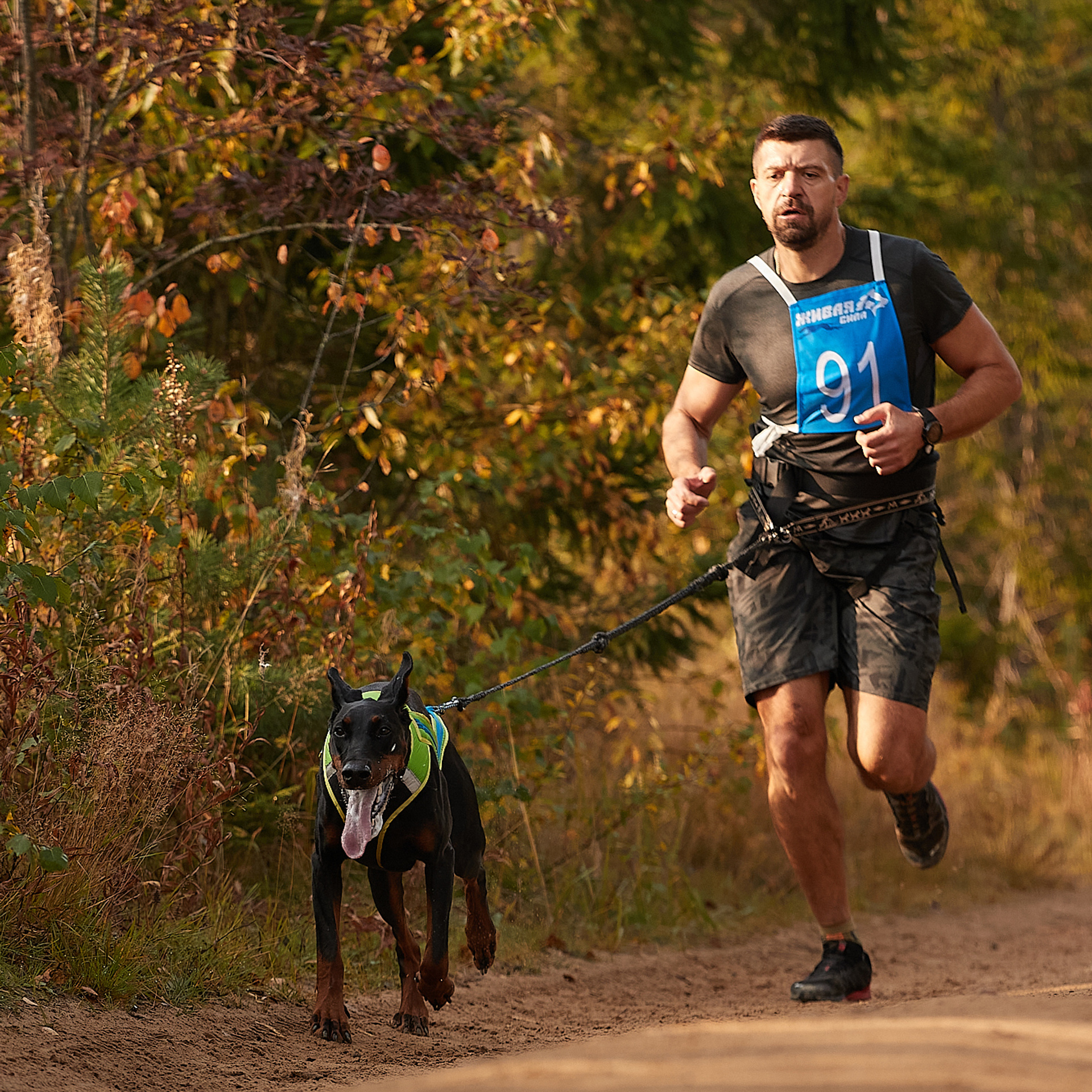 ЧЕМПИОНАТ РОССИИ РКФ 27 сентября 2020 г., 2й день. ФОТОГРАФ-АНИМАЛИСТ l LANA POLYAKOVA
