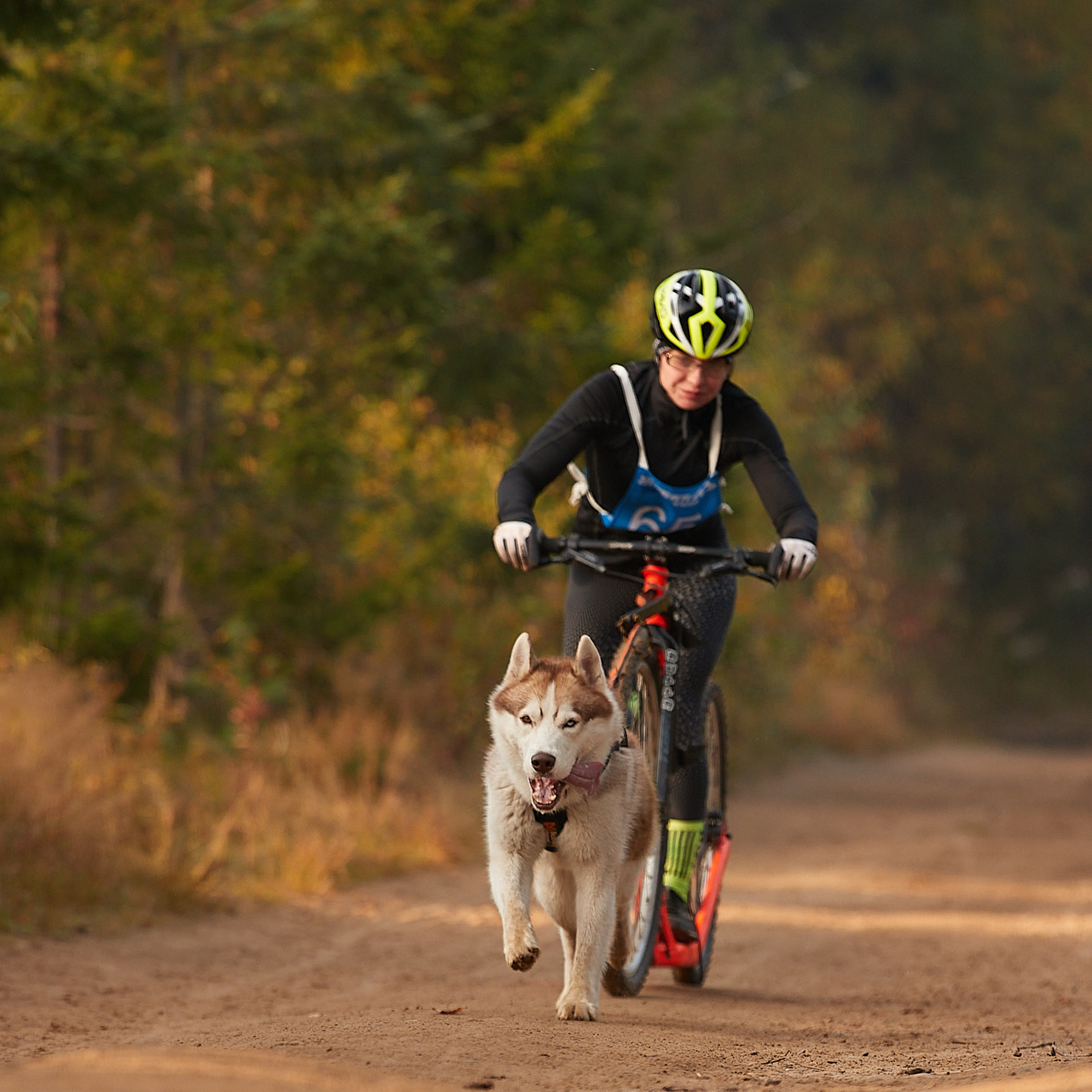 ЧЕМПИОНАТ РОССИИ РКФ 27 сентября 2020 г., 2й день. ФОТОГРАФ-АНИМАЛИСТ l LANA POLYAKOVA