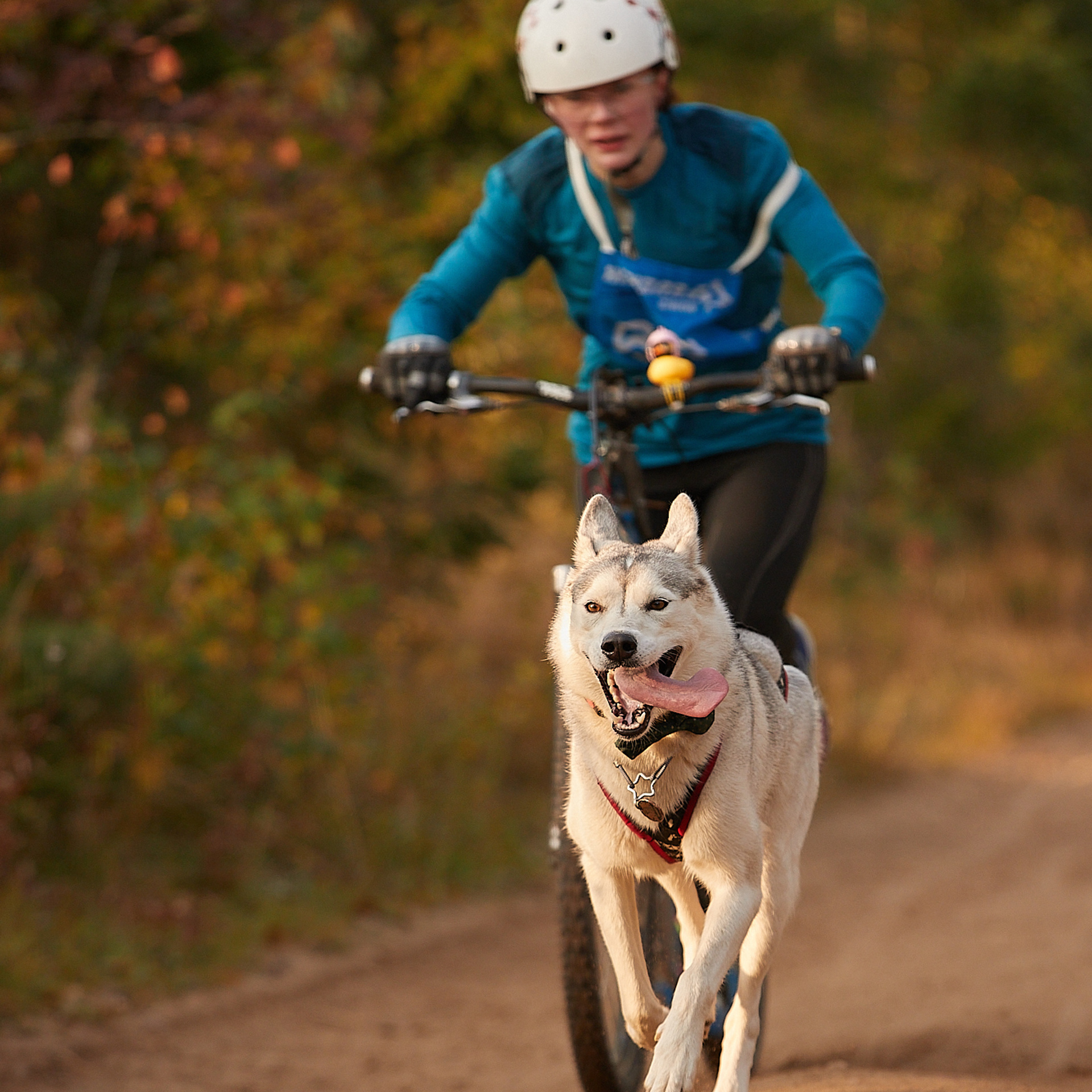 ЧЕМПИОНАТ РОССИИ РКФ 27 сентября 2020 г., 2й день. ФОТОГРАФ-АНИМАЛИСТ l LANA POLYAKOVA