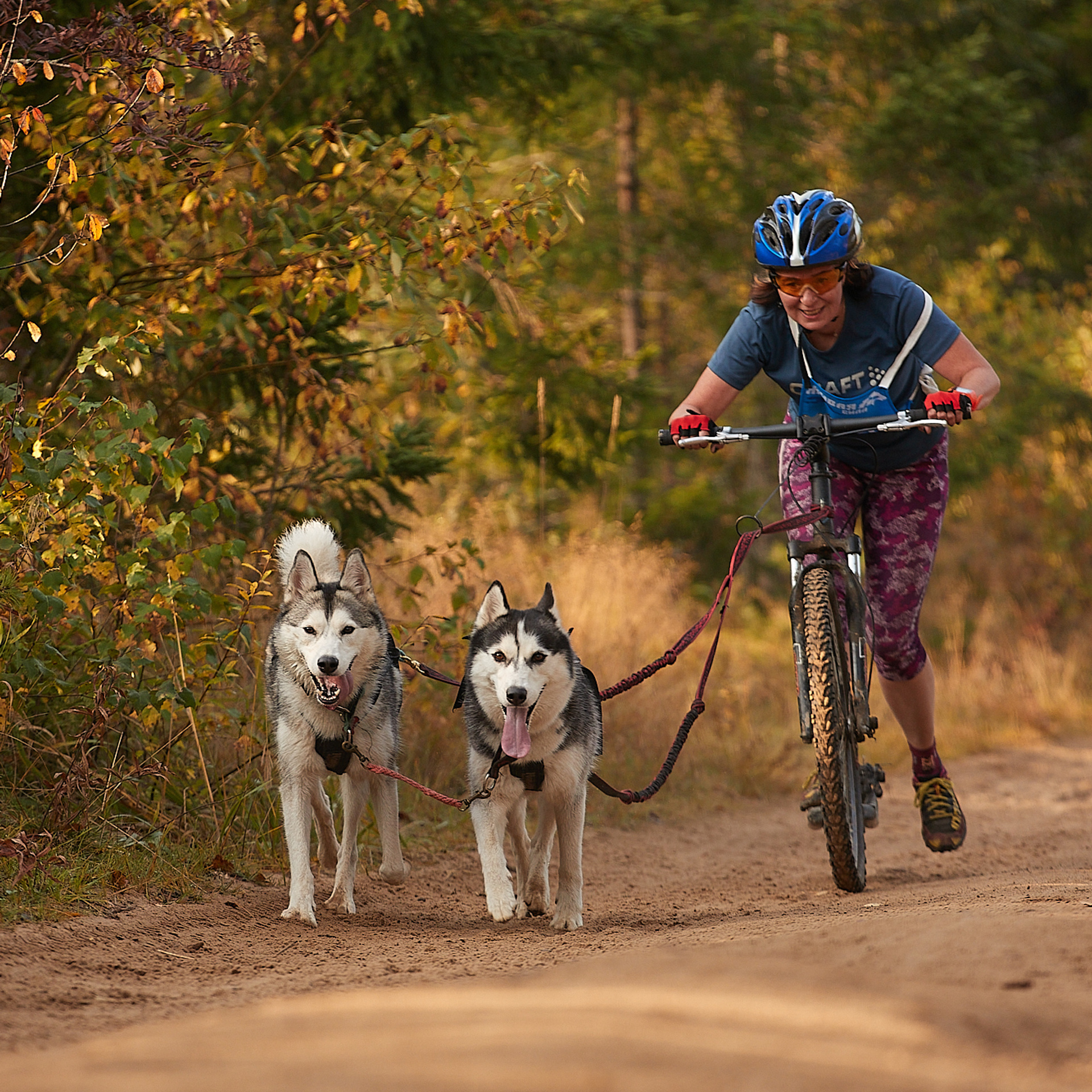 ЧЕМПИОНАТ РОССИИ РКФ 27 сентября 2020 г., 2й день. ФОТОГРАФ-АНИМАЛИСТ l LANA POLYAKOVA