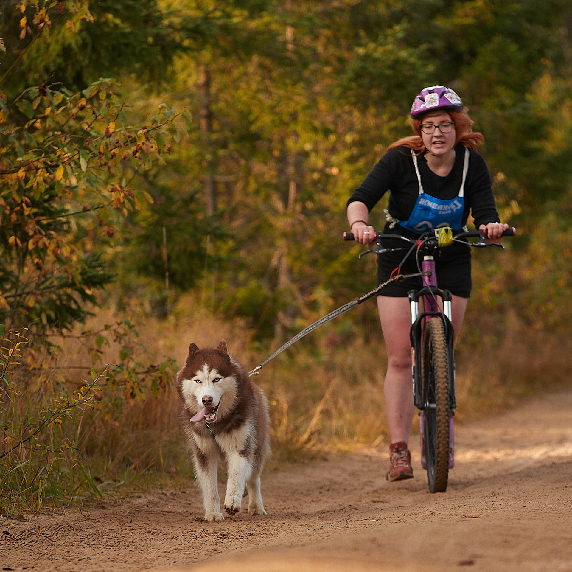 ЧЕМПИОНАТ РОССИИ РКФ 27 сентября 2020 г., 2й день. ФОТОГРАФ-АНИМАЛИСТ l LANA POLYAKOVA