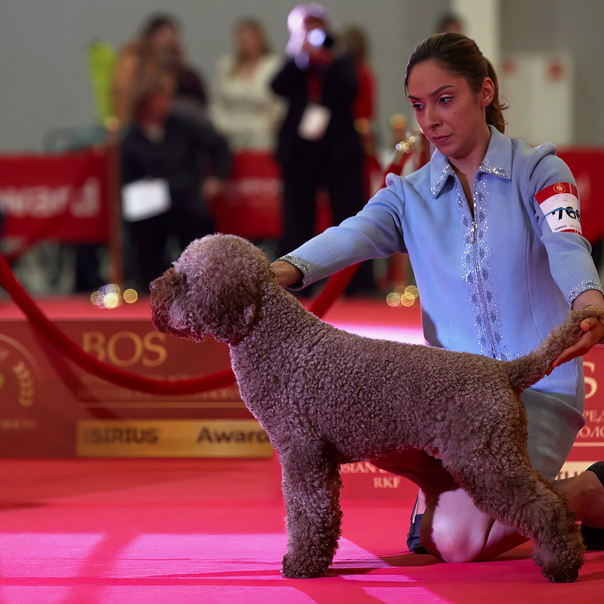 Шоу чемпионов «ЛУЧШИЕ СОБАКИ РОССИИ». ФОТОГРАФ-АНИМАЛИСТ l LANA POLYAKOVA